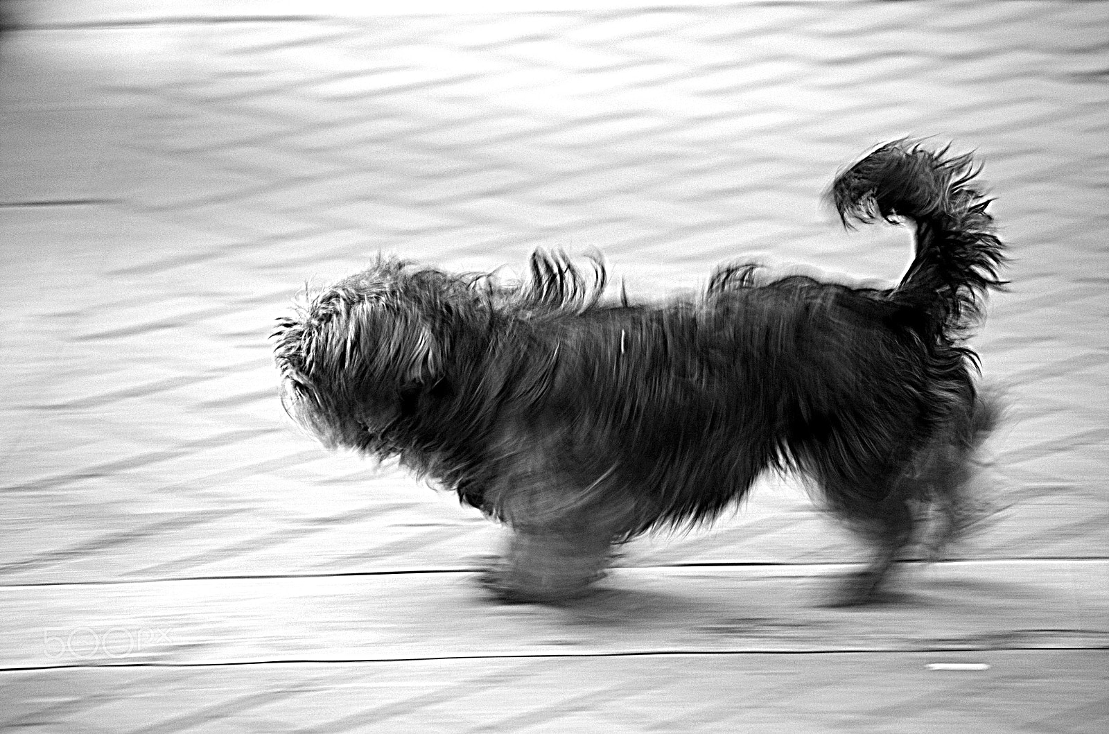smc PENTAX-DA L 50-200mm F4-5.6 ED sample photo. Befo photography