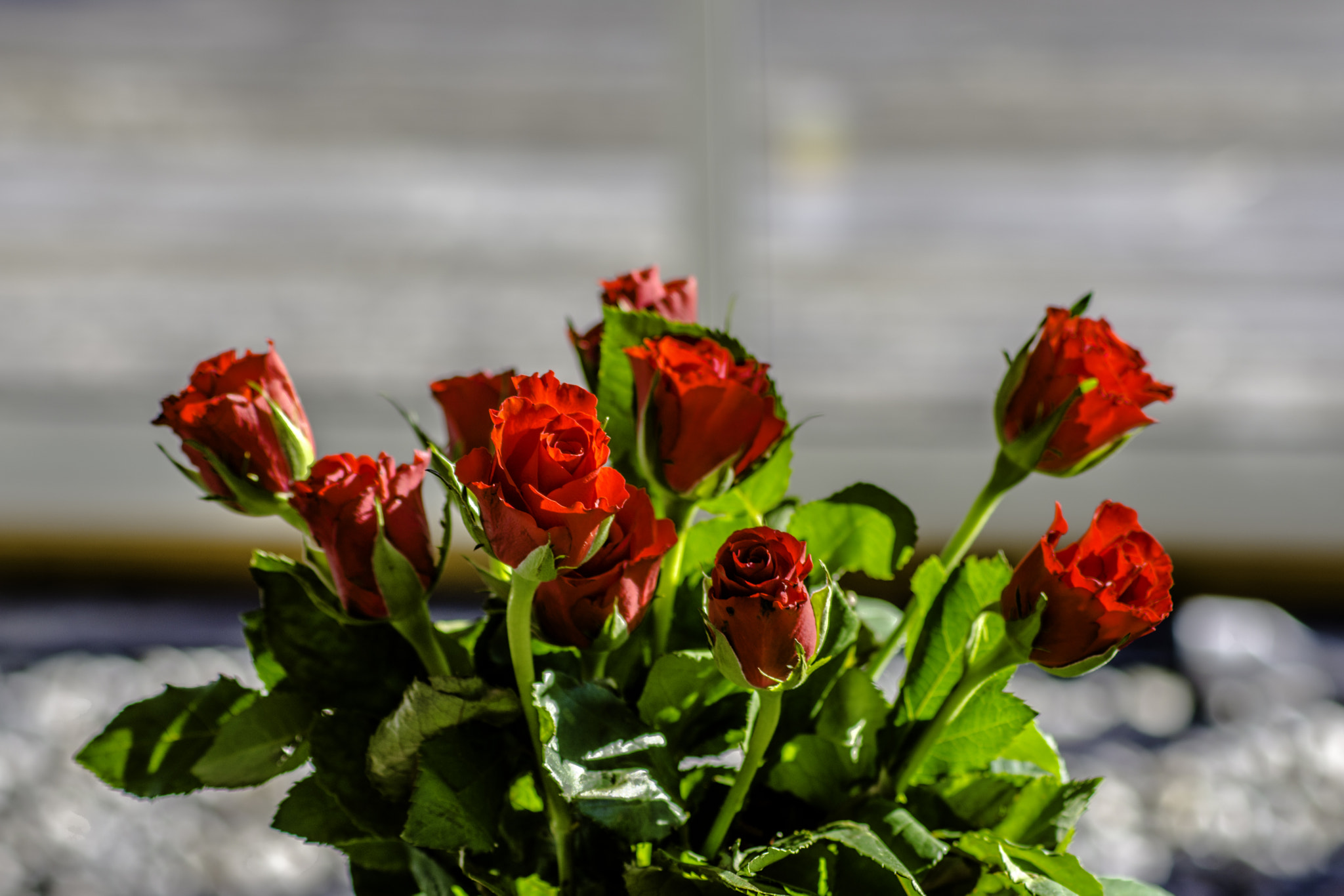 AF Zoom-Nikkor 75-300mm f/4.5-5.6 sample photo. Hdr photography