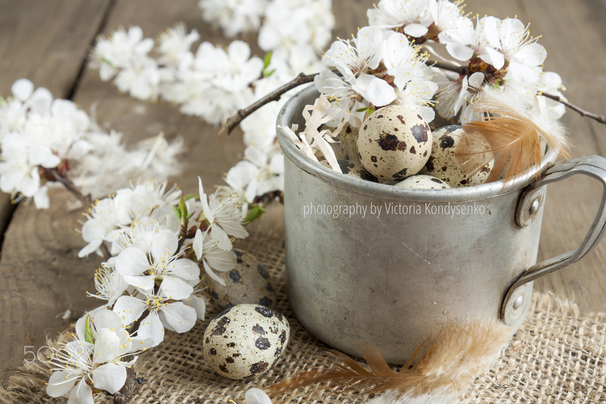 Canon EOS 1000D (EOS Digital Rebel XS / EOS Kiss F) sample photo. Quail eggs, flowers and feather photography