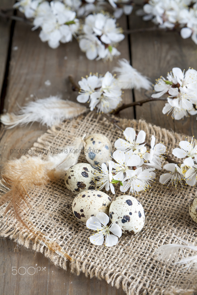 Canon EOS 1000D (EOS Digital Rebel XS / EOS Kiss F) sample photo. Quail eggs, flowers and feather photography