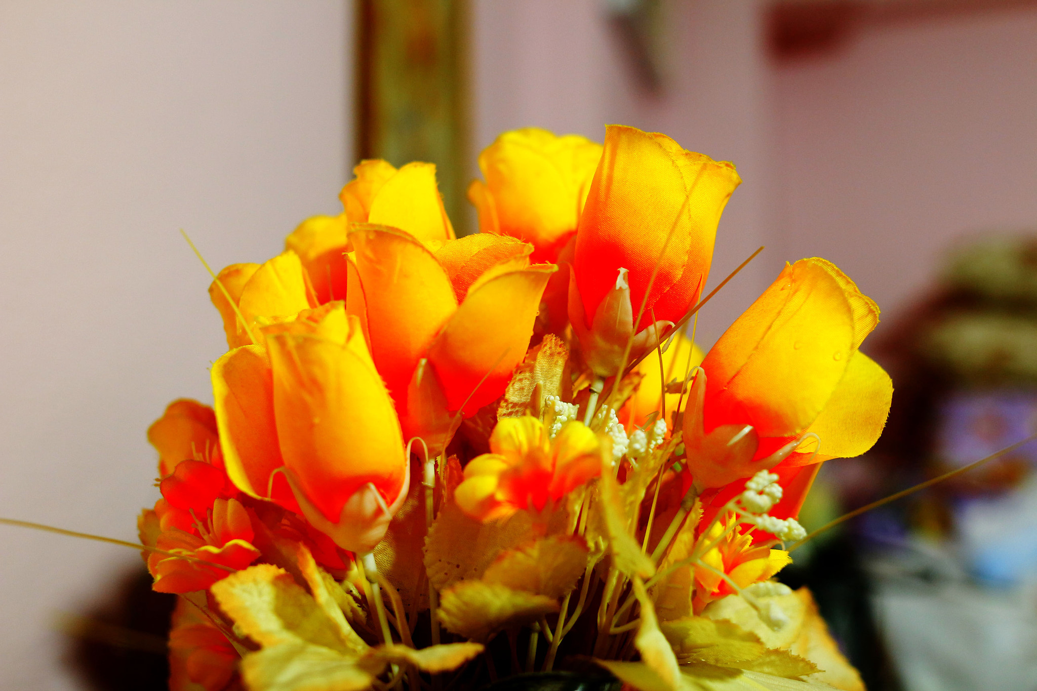 Sigma 24mm F1.4 DG HSM Art sample photo. Flower photography