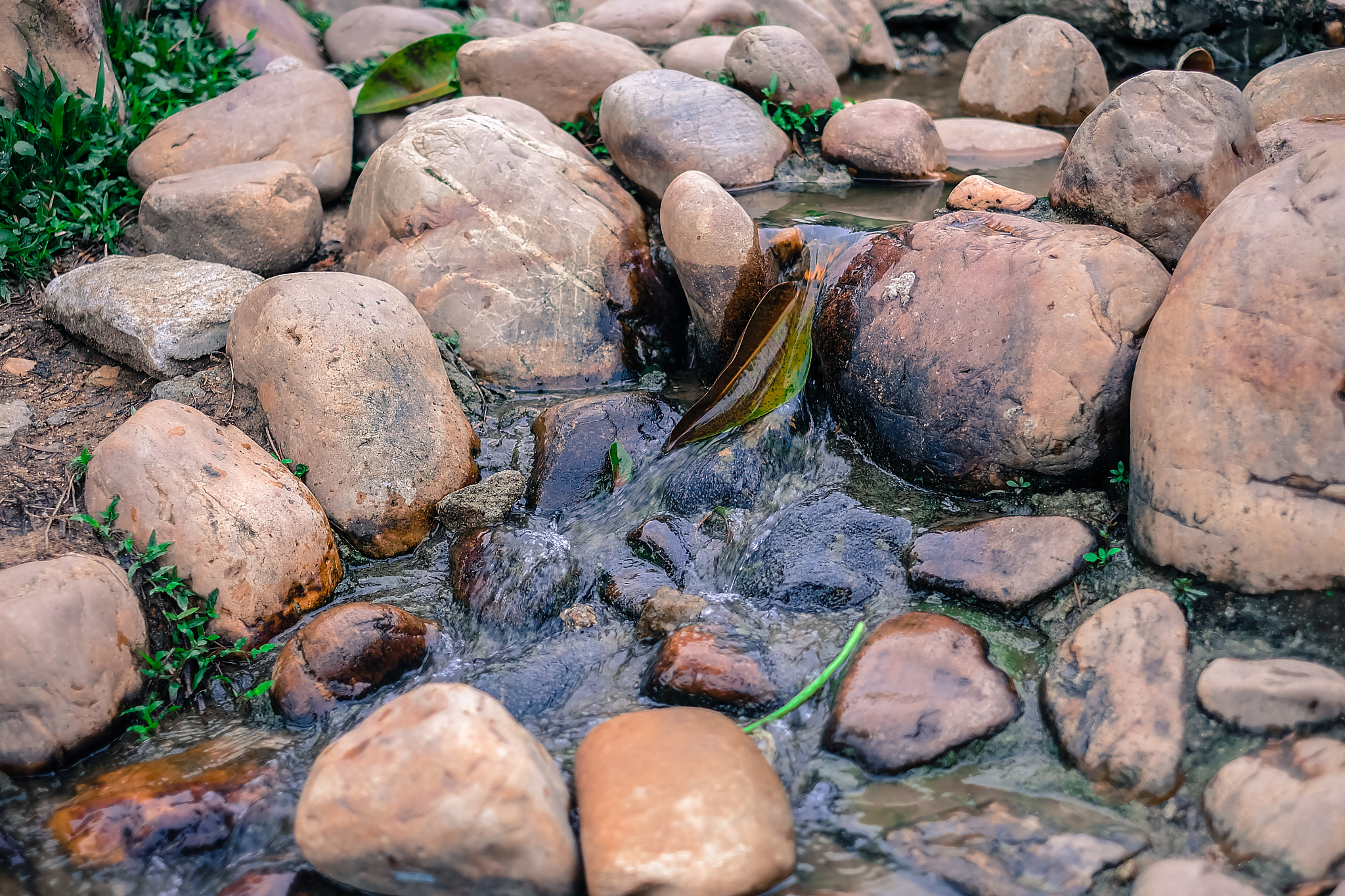 Fujifilm X-A1 + Fujifilm XF 35mm F1.4 R sample photo. Drifting leaf photography