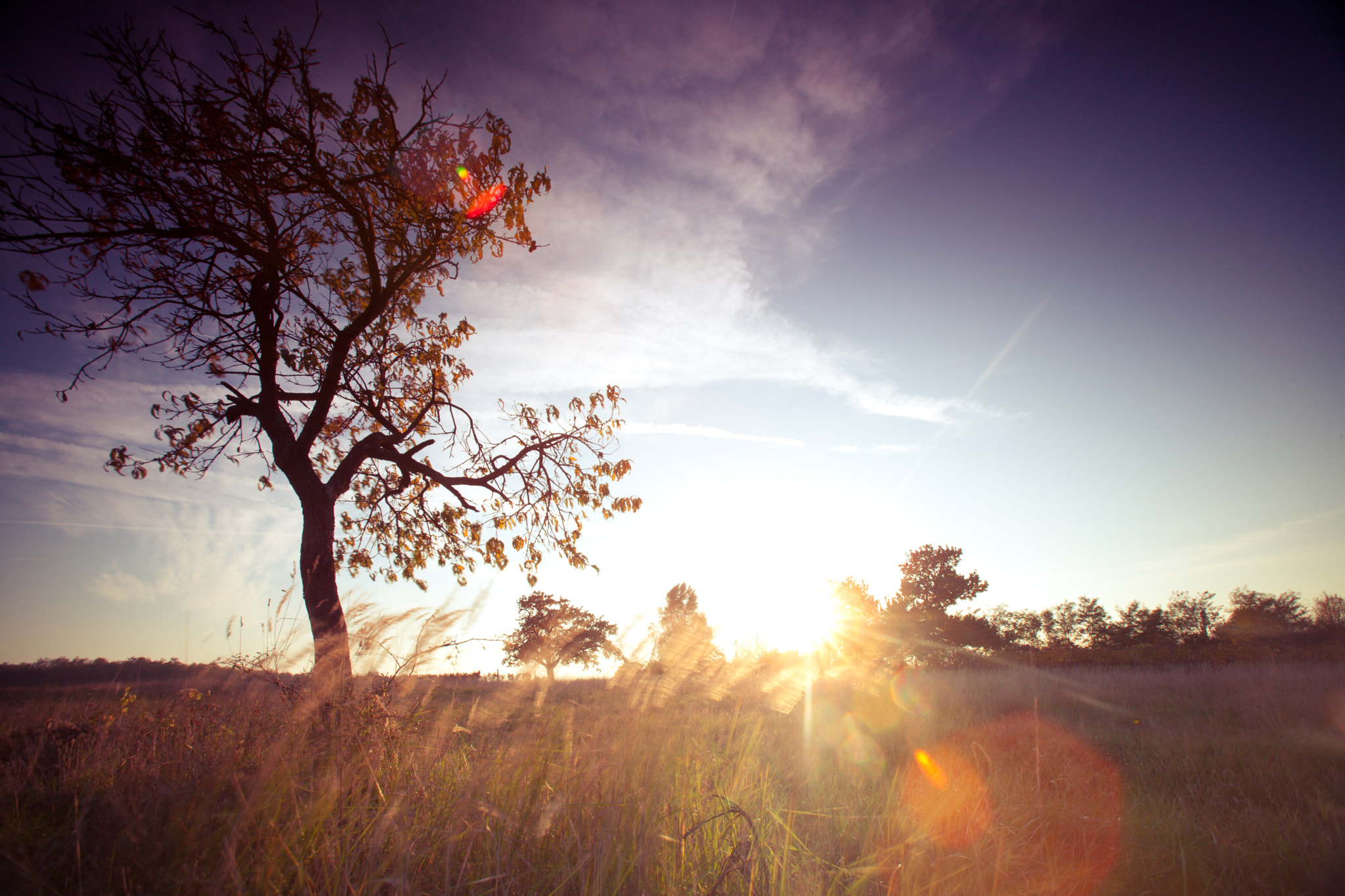 Canon EOS 5D Mark II + Canon EF 16-35mm F2.8L USM sample photo. Burgenländische landschaft im sonnenlicht photography