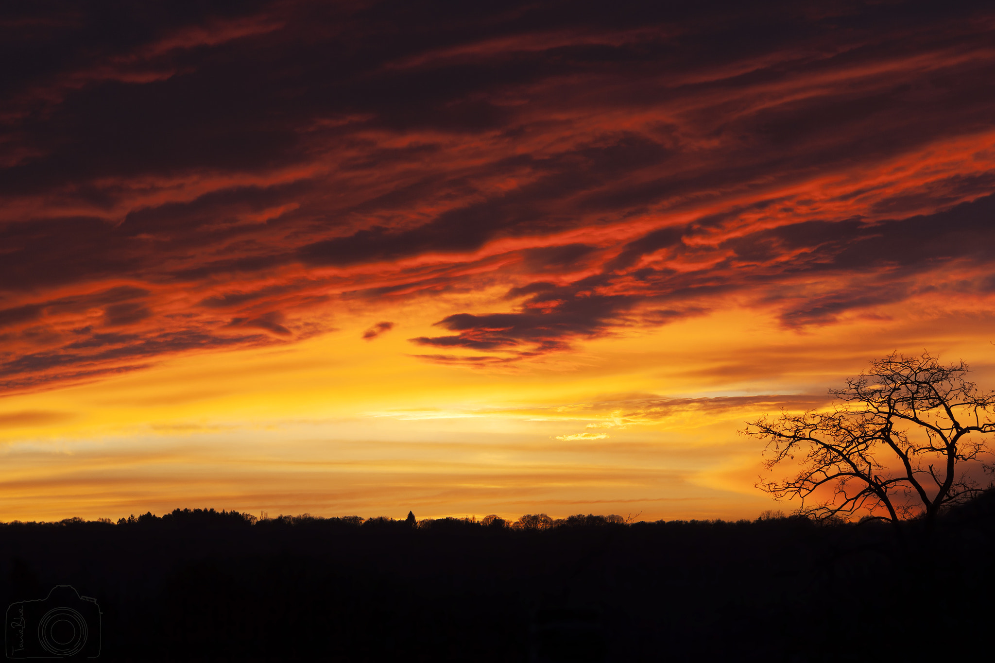 Sigma 24-105mm f/4 DG OS HSM | A sample photo. ☼ ☼ ☼ photography