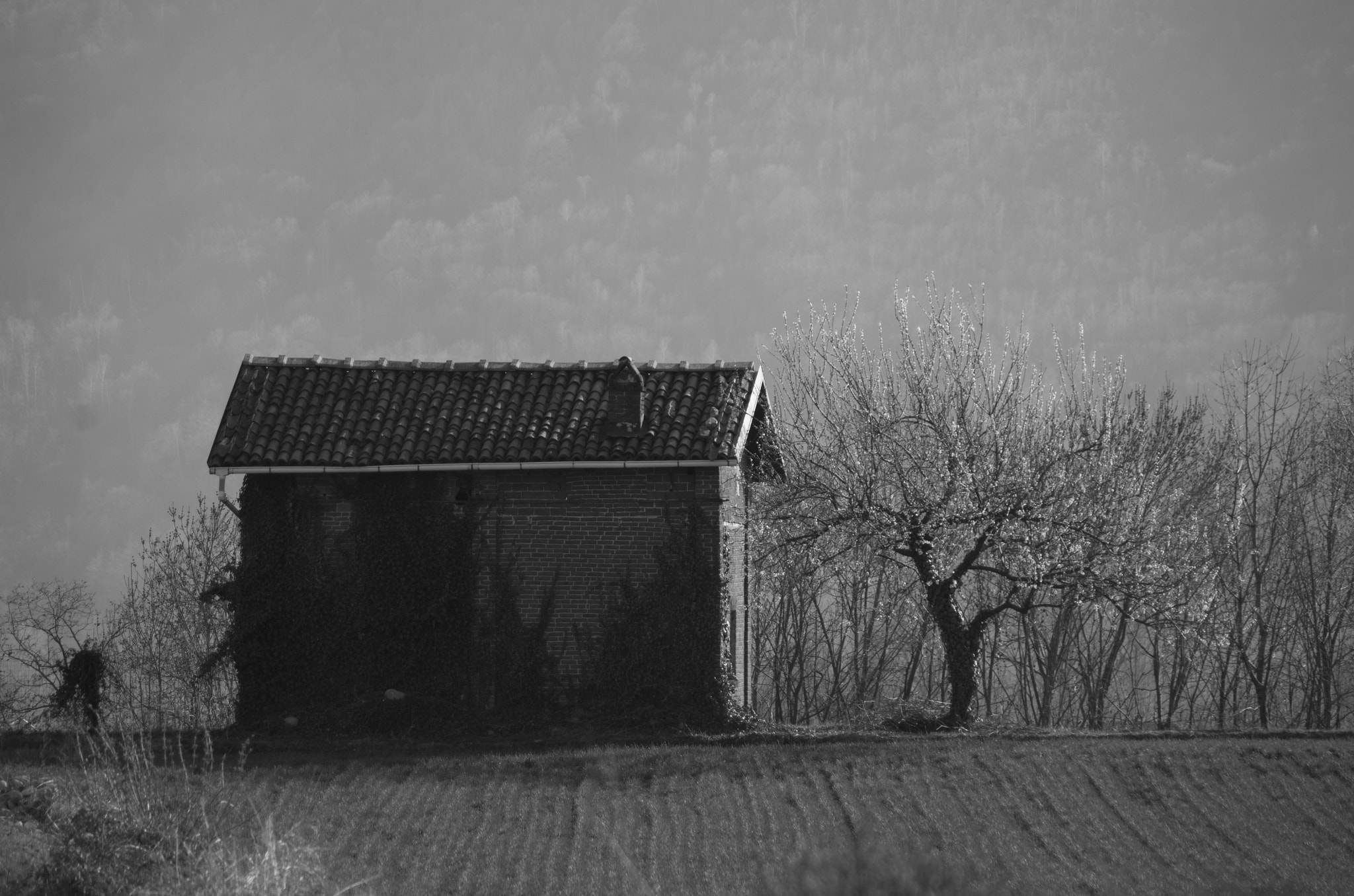 HD Pentax DA 55-300mm F4.0-5.8 ED WR sample photo. Old house in the field photography