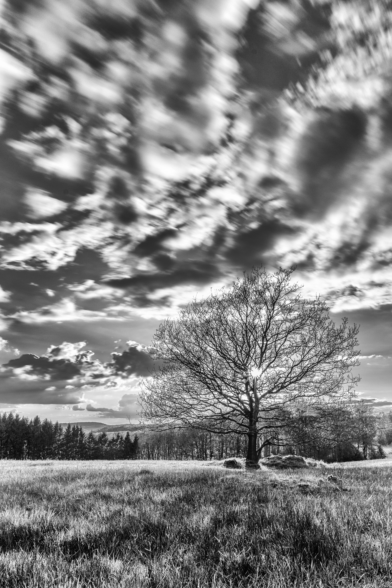 Sigma 17-70mm F2.8-4 DC Macro OS HSM sample photo. Nature and clouds photography
