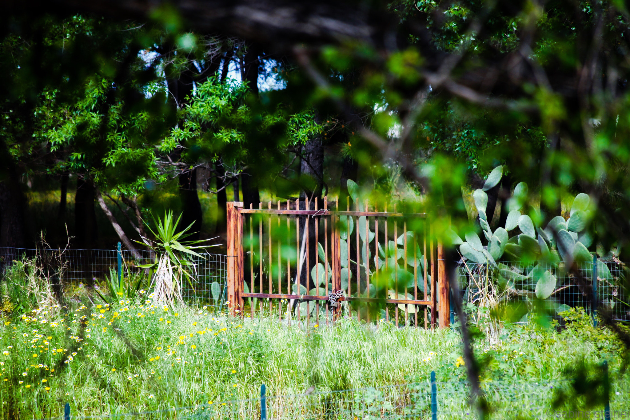 Canon EF 70-300mm F4-5.6 IS USM sample photo. Garden gate photography