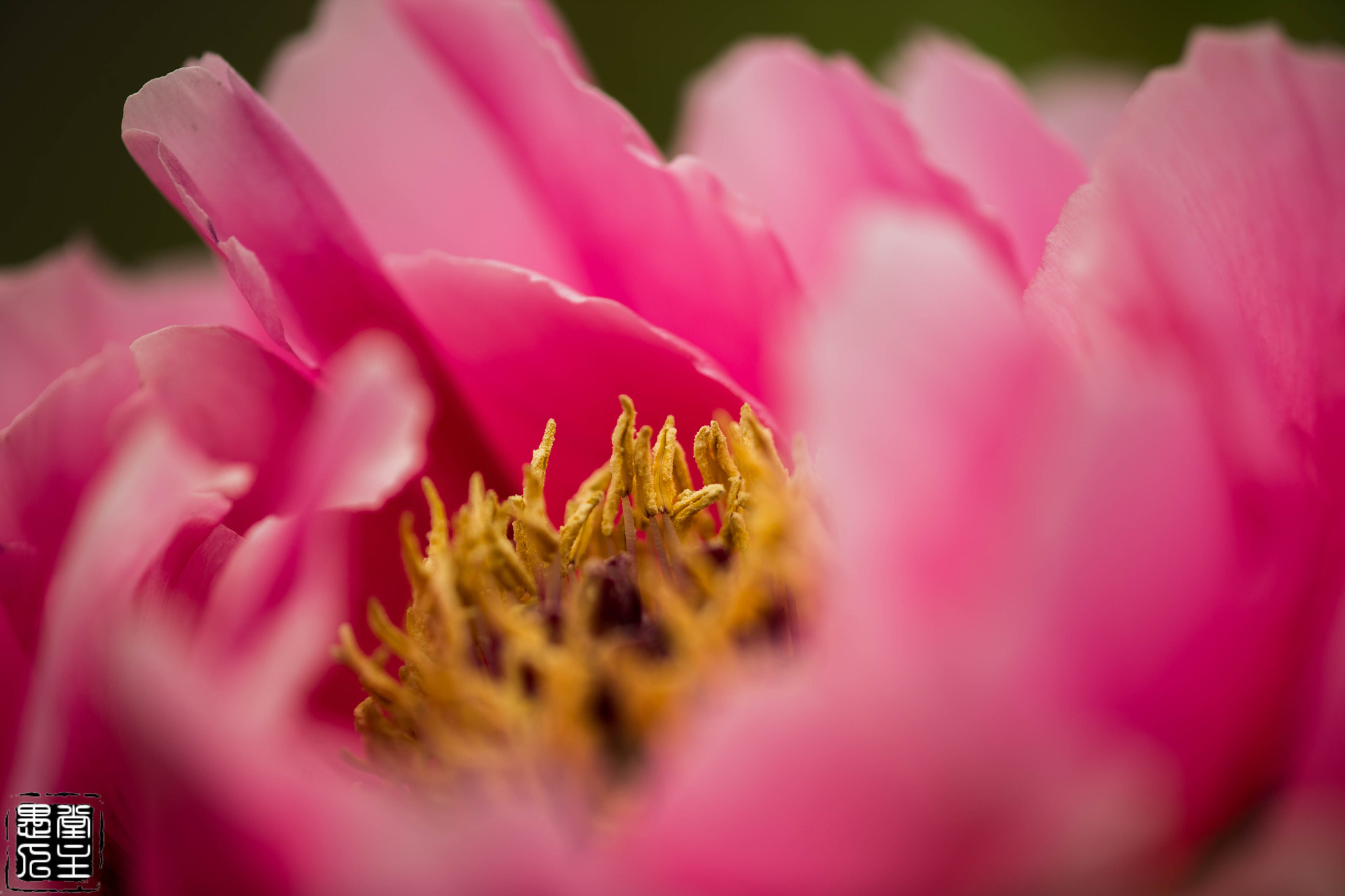 Canon EF 180mm F3.5L Macro USM sample photo. B20x3119.jpg photography