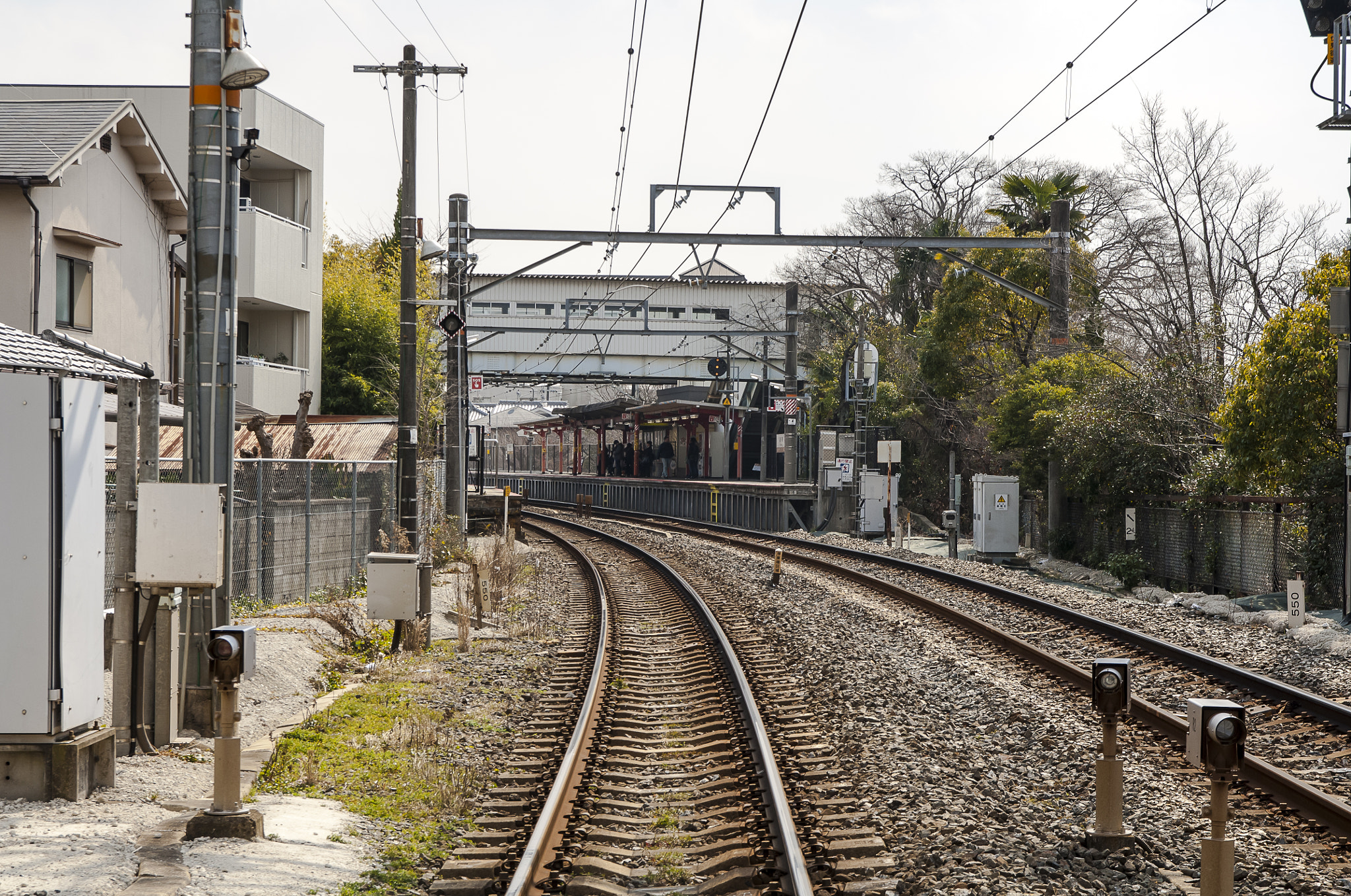 Nikon D2X + Sigma 18-50mm F2.8 EX DC Macro sample photo. 20160226_kyoto photography