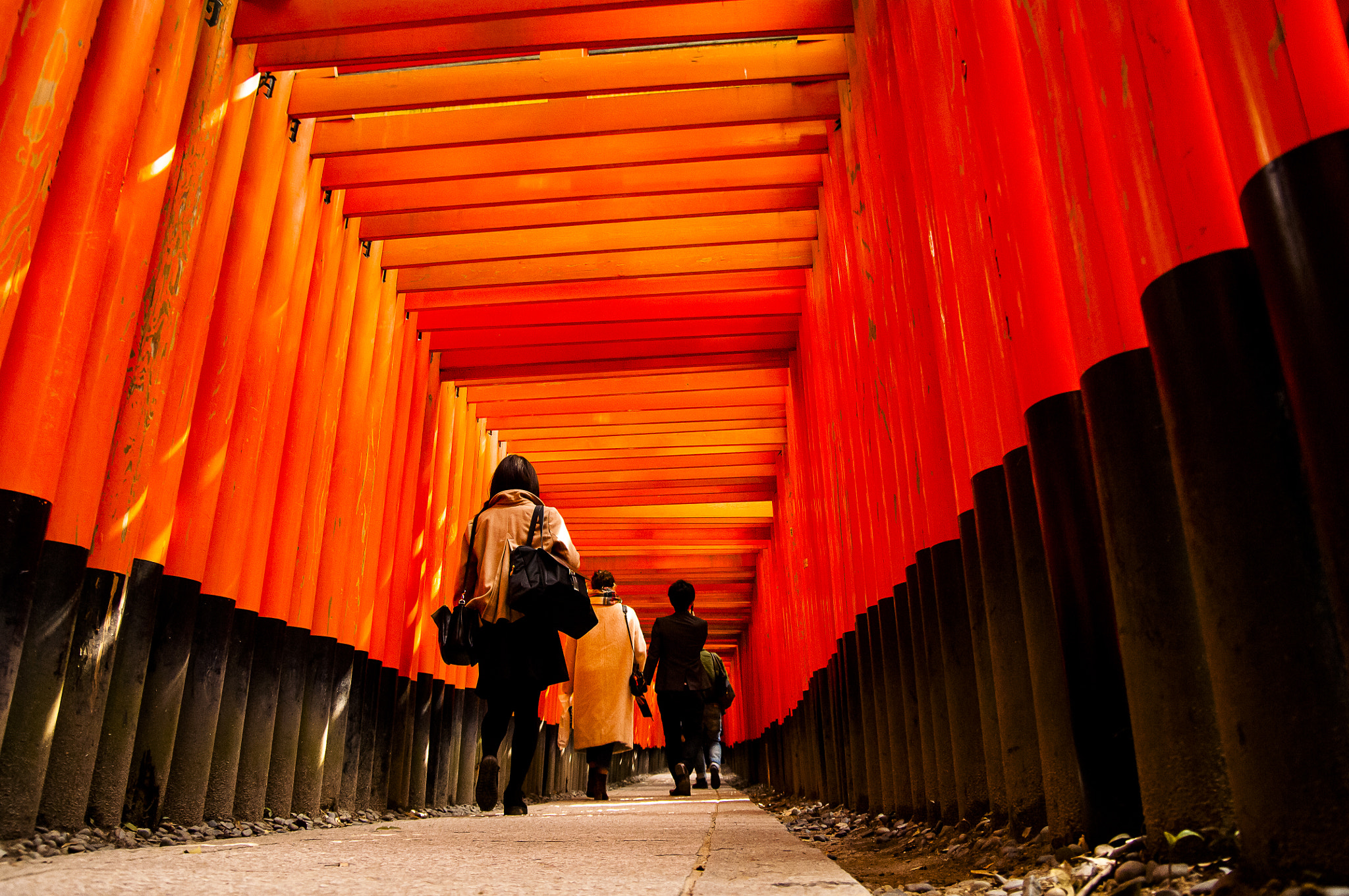 Nikon D2X + Sigma 18-50mm F2.8 EX DC Macro sample photo. 20160226_kyoto(fushimi inari-taisha) photography