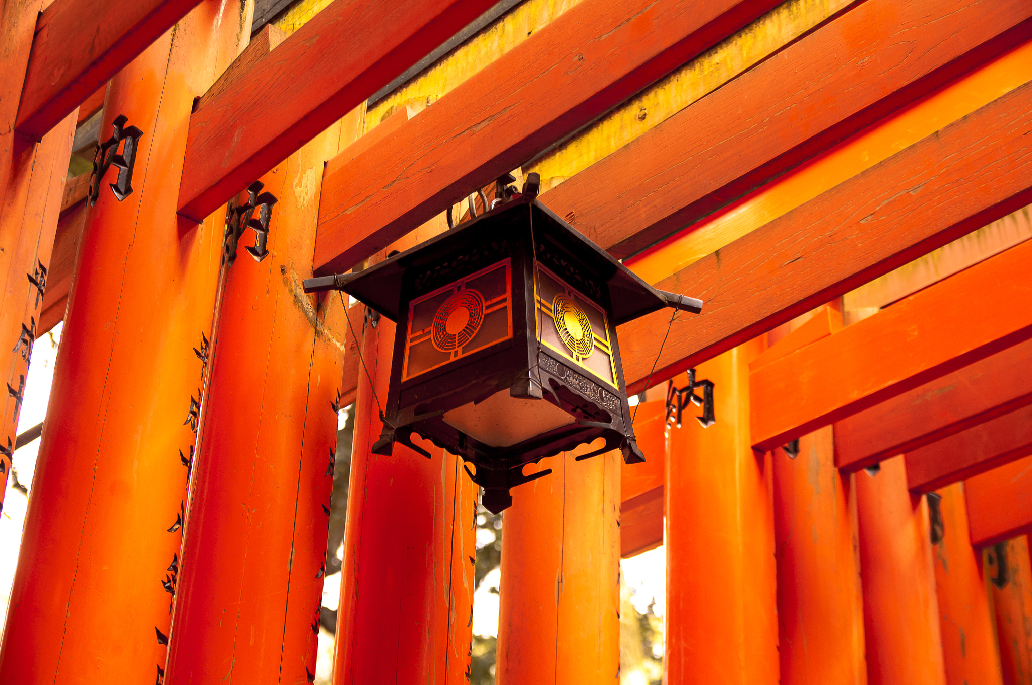 Nikon D2X + Sigma 18-50mm F2.8 EX DC Macro sample photo. 20160226_kyoto(fushimi inari-taisha) photography