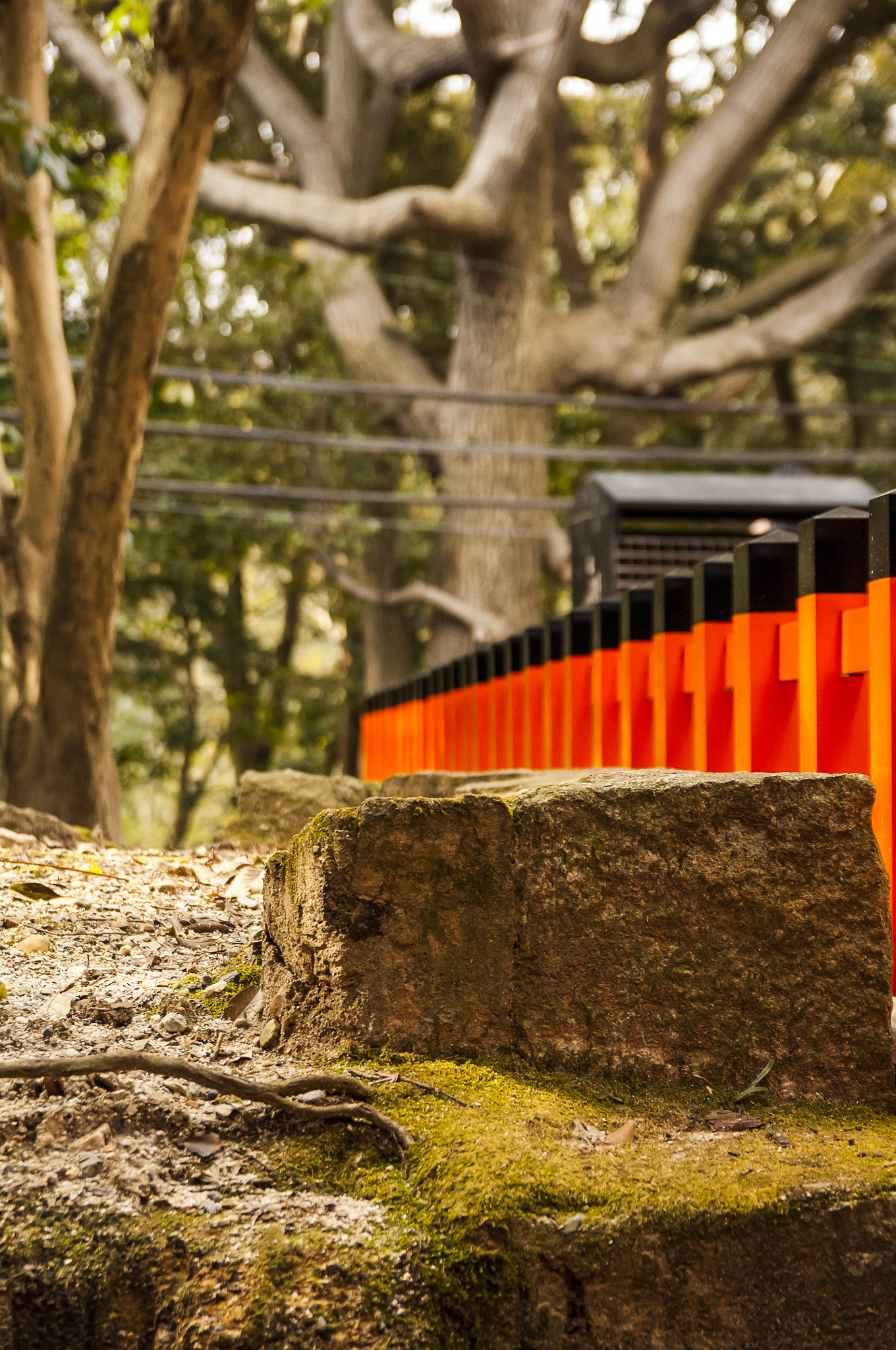 Nikon D2X + Sigma 18-50mm F2.8 EX DC Macro sample photo. 20160226_kyoto(fushimi inari-taisha) photography