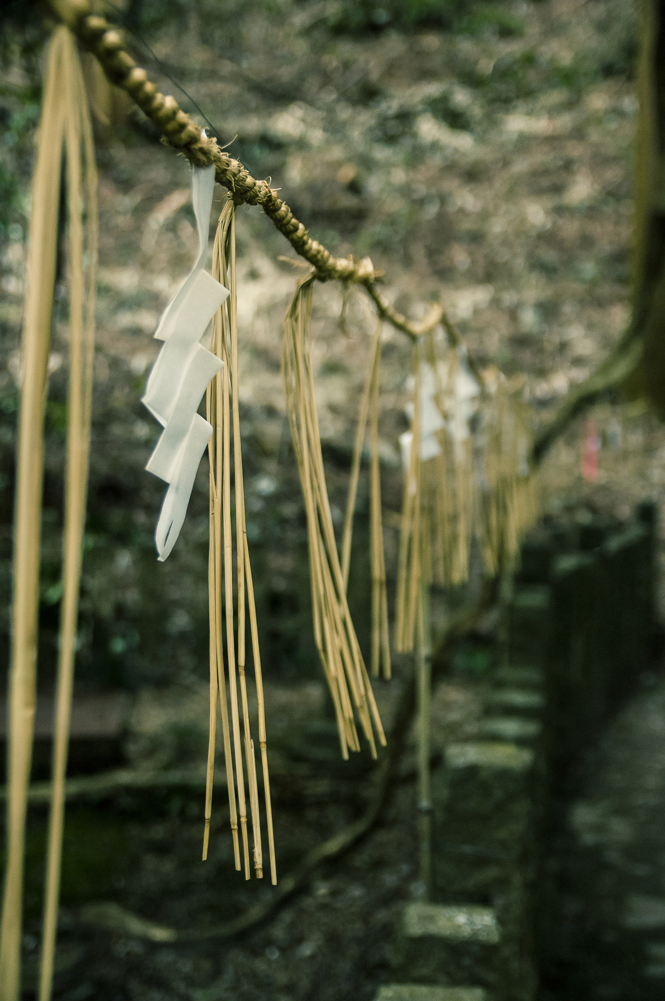 Nikon D2X + Sigma 18-50mm F2.8 EX DC Macro sample photo. 20160226_kyoto(fushimi inari-taisha) photography