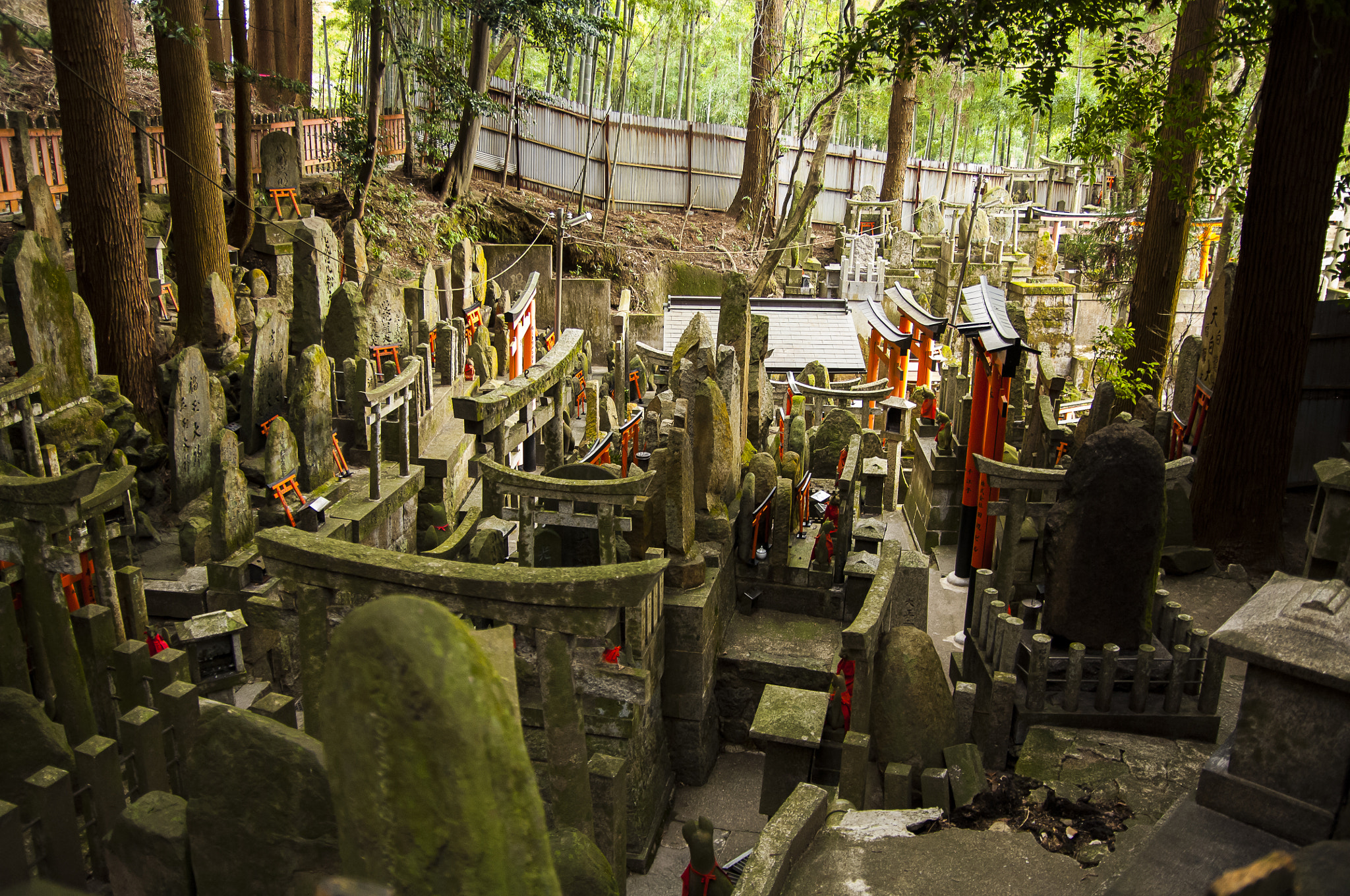 Nikon D2X + Sigma 18-50mm F2.8 EX DC Macro sample photo. 20160226_kyoto(fushimi inari-taisha) photography