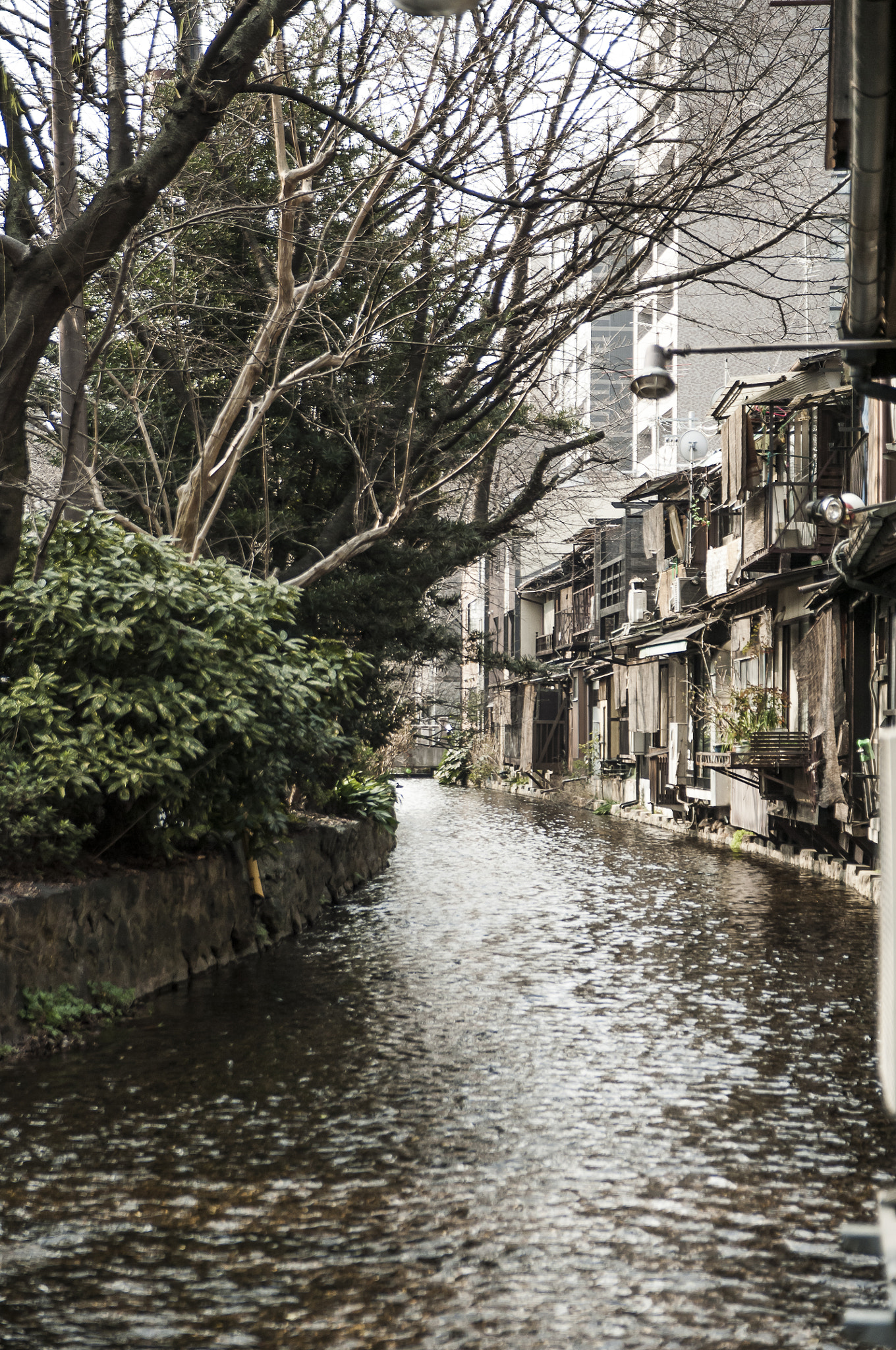 Nikon D2X + Sigma 18-50mm F2.8 EX DC Macro sample photo. 20160227_kyoto photography