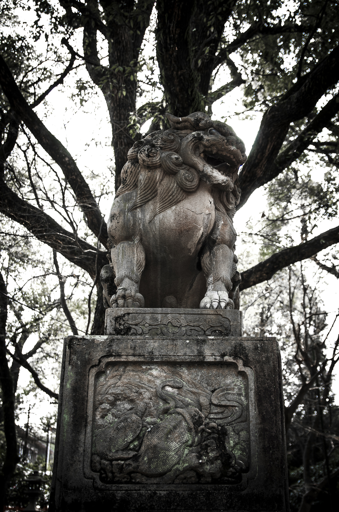 Nikon D2X + Sigma 18-50mm F2.8 EX DC Macro sample photo. 20160227_kyoto(yasaka shirine) photography
