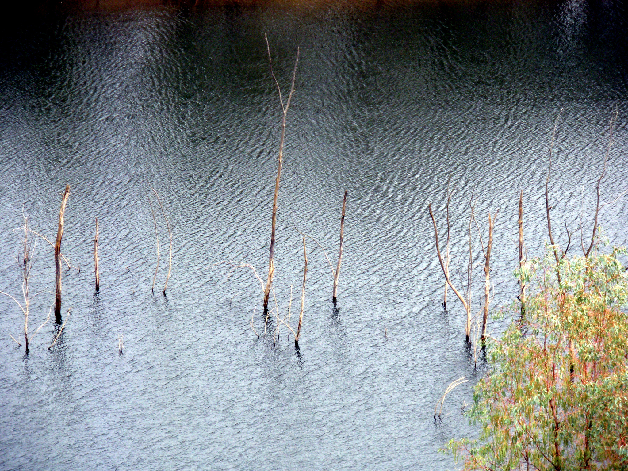 Pentax Optio M60 sample photo. Nature experience photography