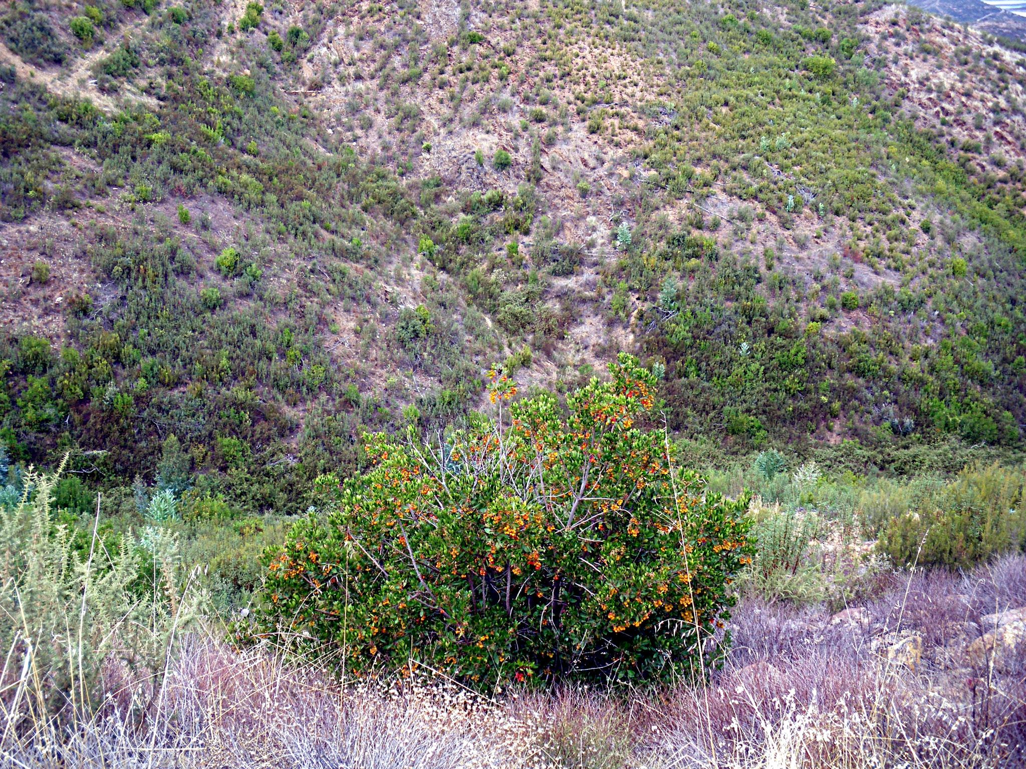 Pentax Optio M60 sample photo. Nature experience photography