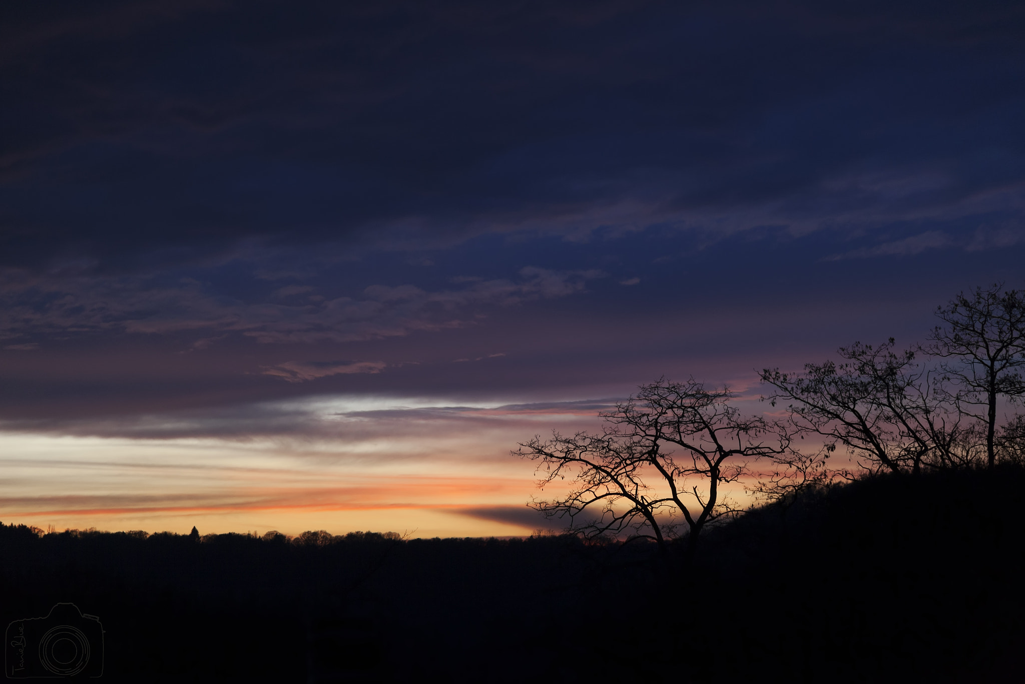 Sigma 24-105mm f/4 DG OS HSM | A sample photo. ☼ ☼ ☼ photography