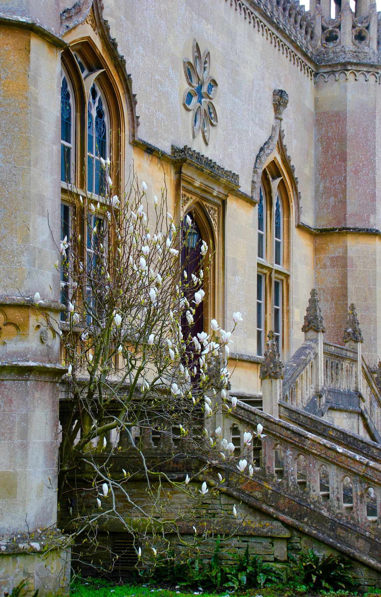 Canon EOS 550D (EOS Rebel T2i / EOS Kiss X4) + Sigma 18-125mm F3.8-5.6 DC OS HSM sample photo. Lacock abbey, wiltshire, england photography