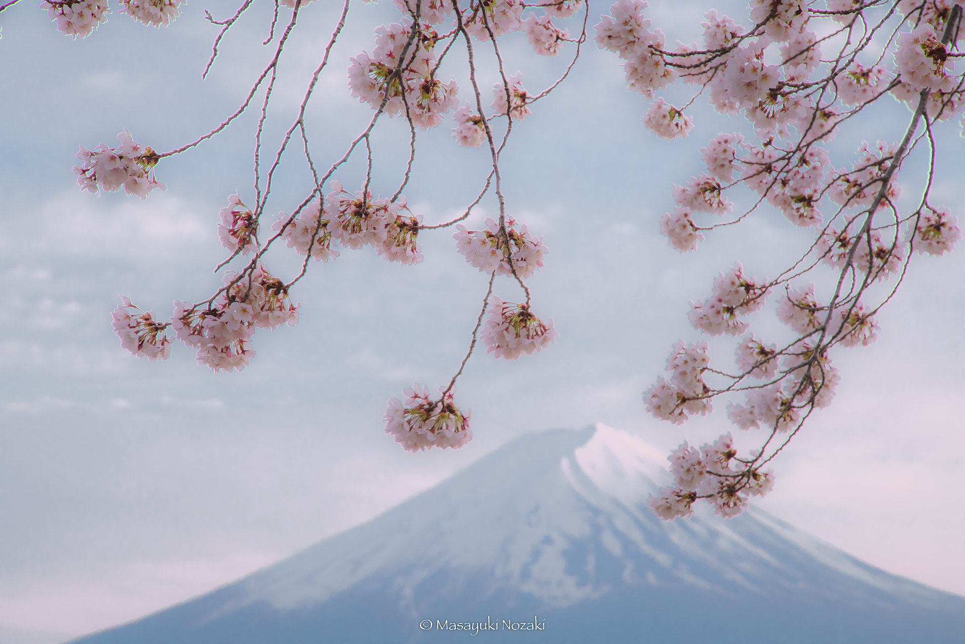 Tamron 18-270mm F3.5-6.3 Di II PZD sample photo. Spring mood photography