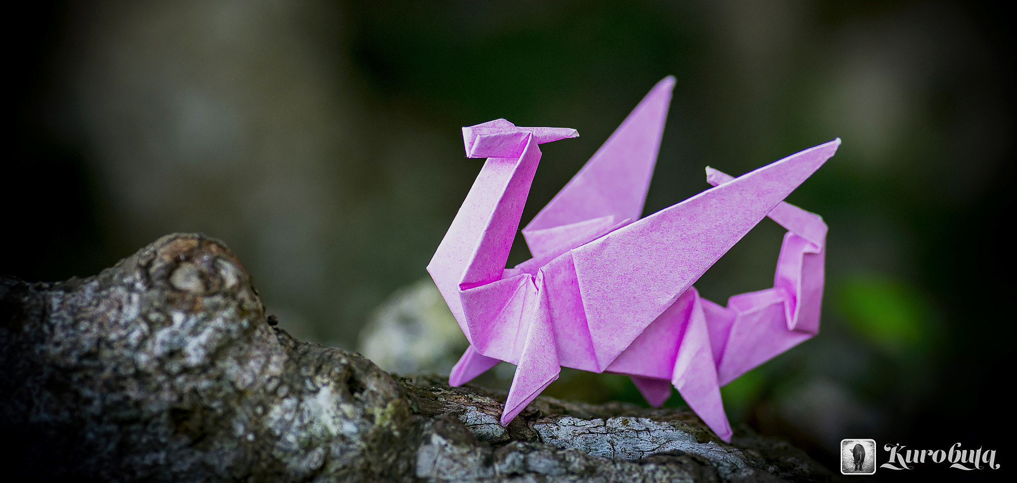 Pentax smc D-FA 100mm F2.8 Macro WR sample photo. Paper dragon photography