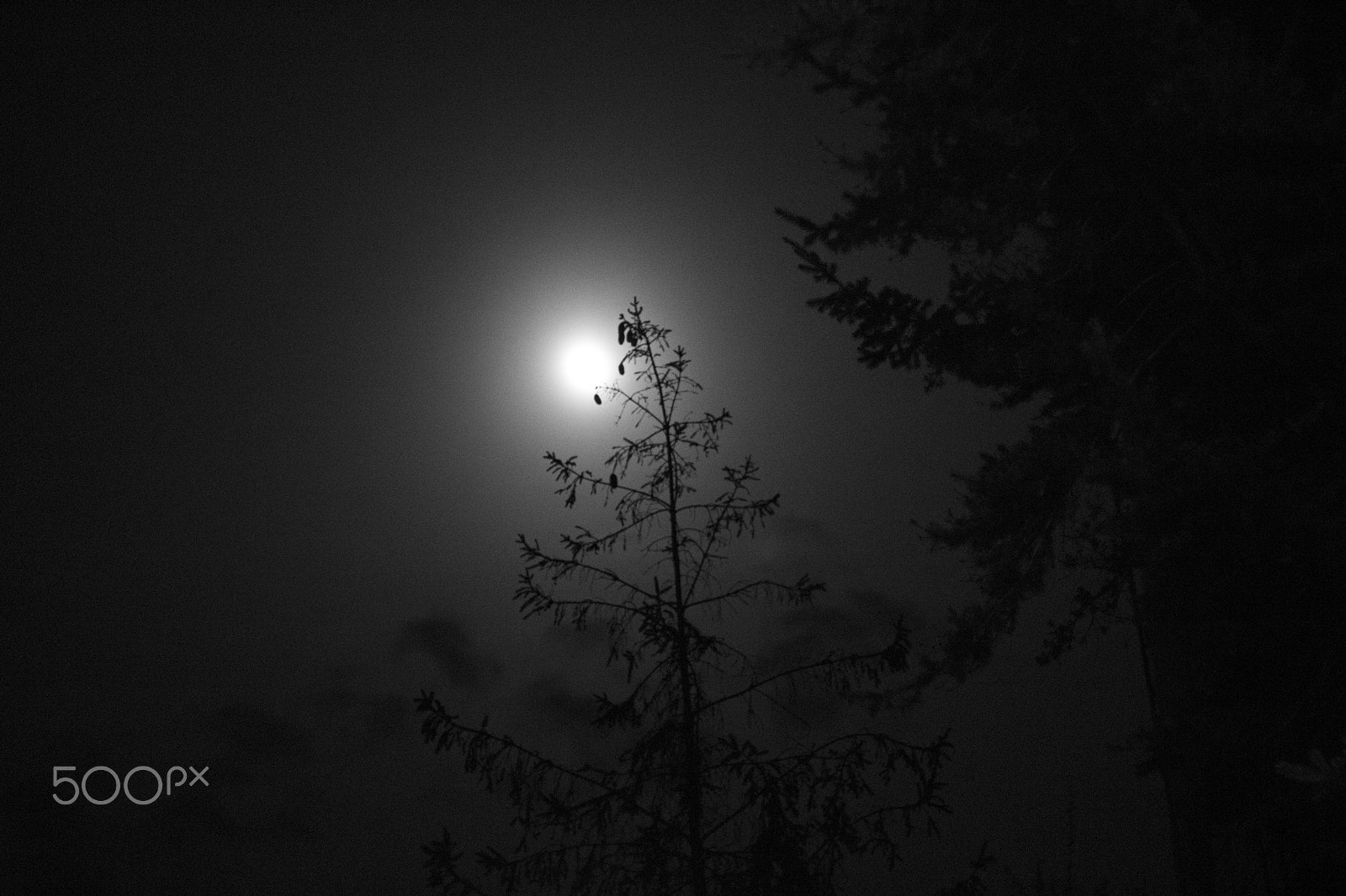 Canon EOS 760D (EOS Rebel T6s / EOS 8000D) + Canon EF 50mm F1.4 USM sample photo. The nights can be dark and misterious.. photography