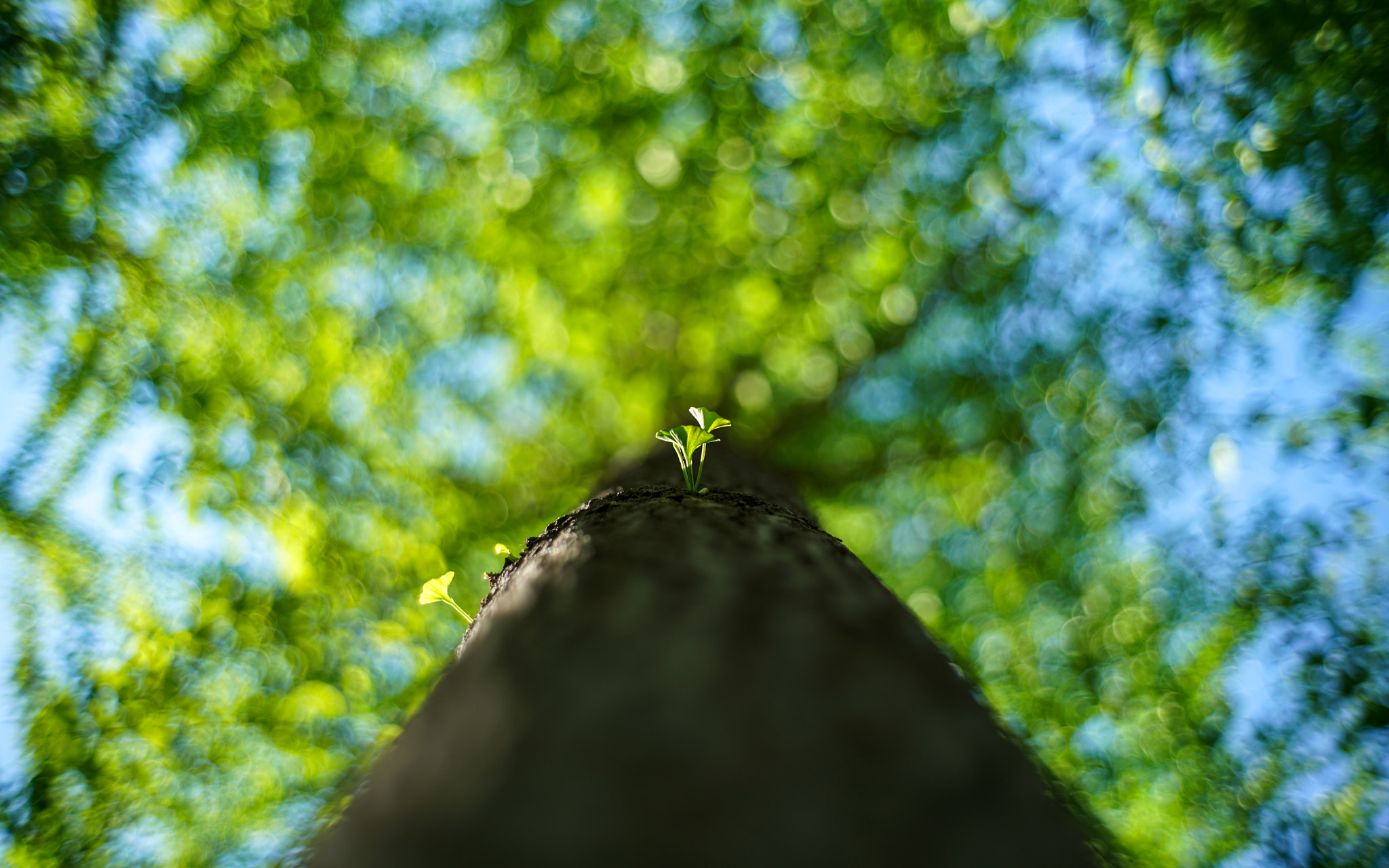 0mm F0 SAM sample photo. Underwood photography