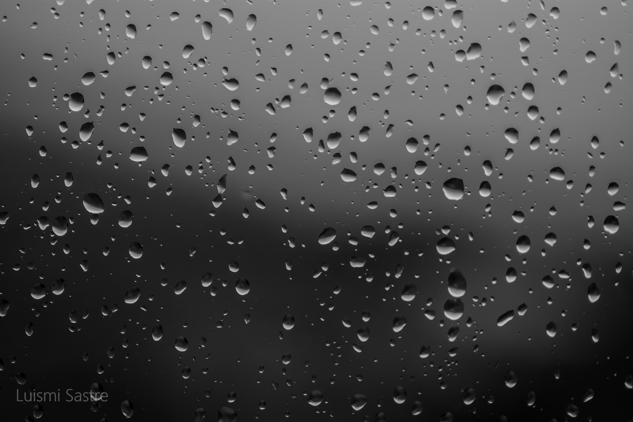 Nikon D5200 + Sigma 50mm F1.4 DG HSM Art sample photo. Día de lluvia photography