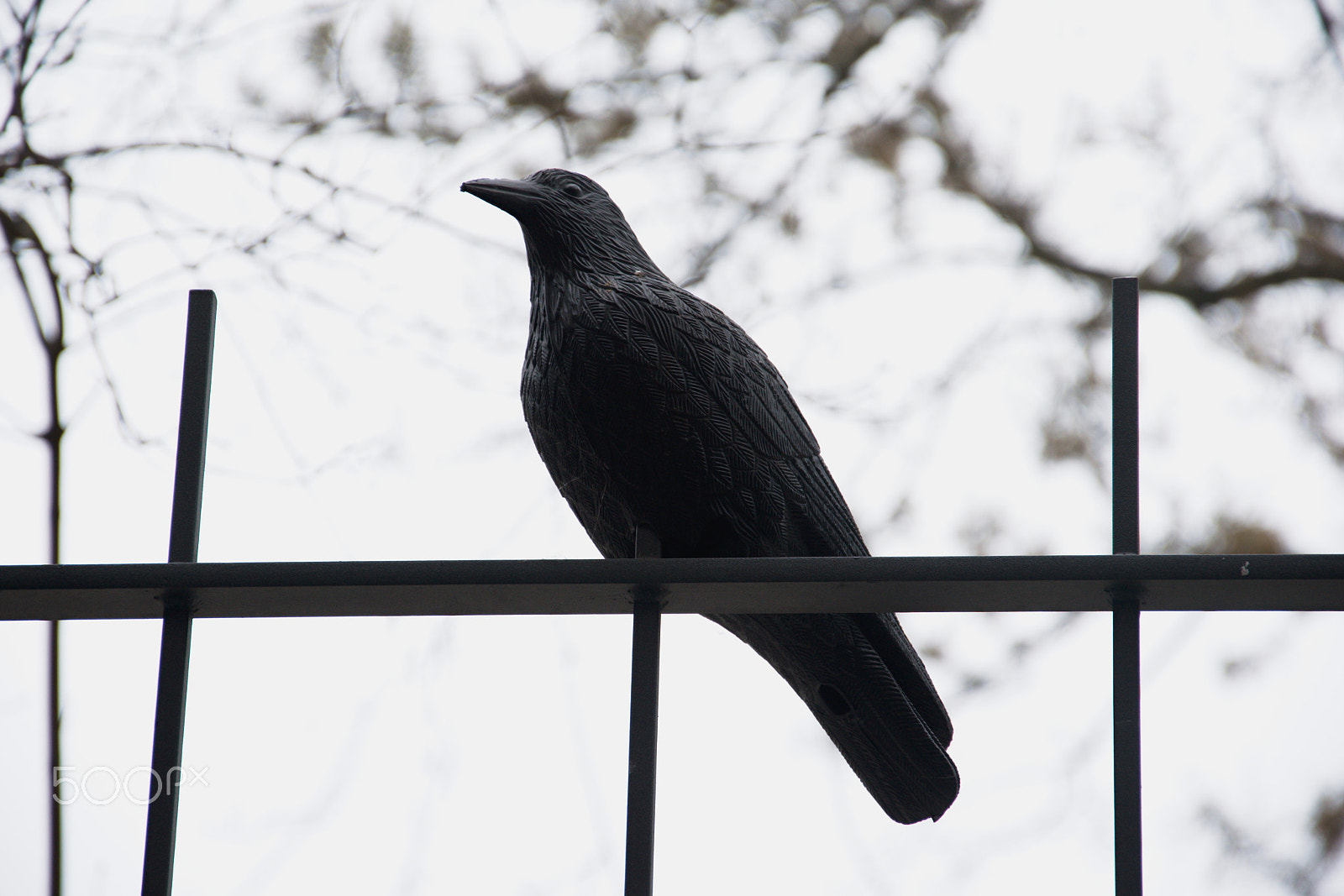 18.00 - 105.00 mm f/3.5 - 5.6 sample photo. ...  c o n t r o l e t t i  ... photography