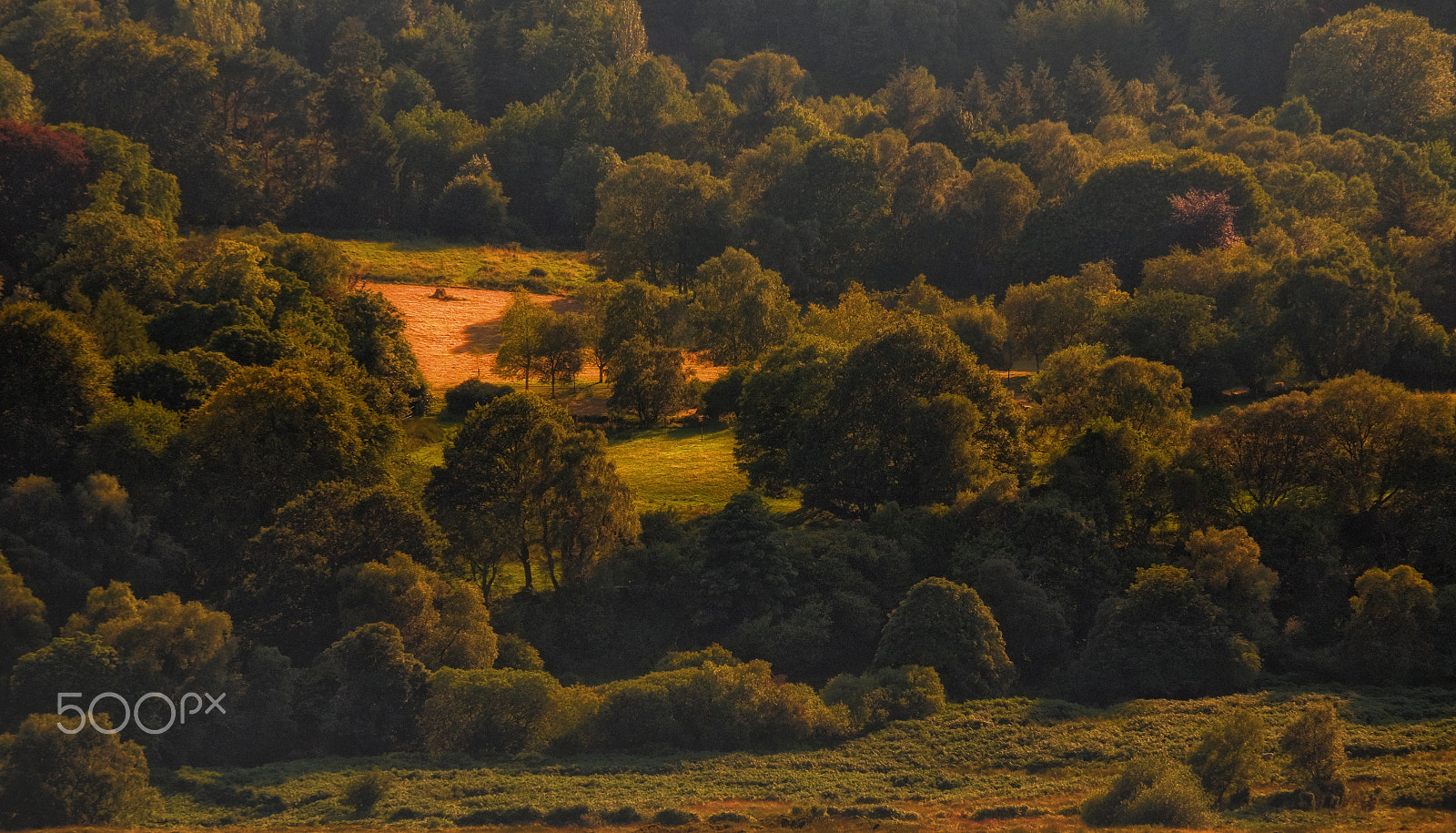 Fujifilm X-M1 + Fujifilm XC 50-230mm F4.5-6.7 OIS sample photo. ...in tints of dusk... photography