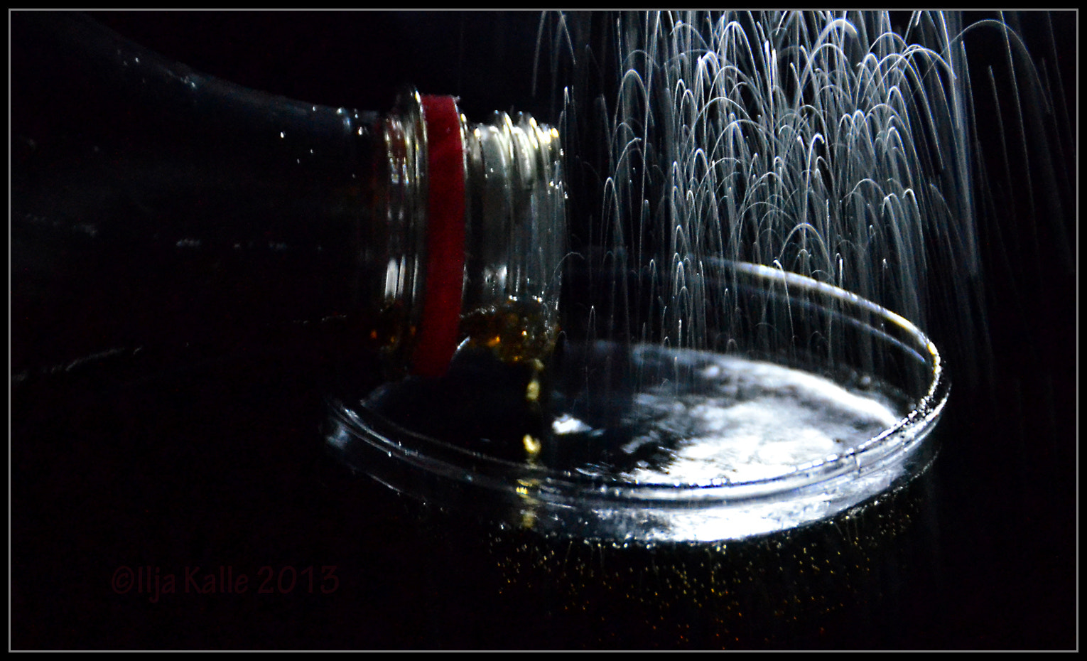 Nikon D7000 + AF Zoom-Nikkor 75-300mm f/4.5-5.6 sample photo. Drinking cola ii photography
