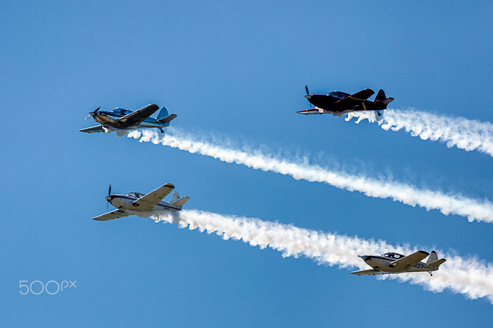 Sigma 150-600mm F5-6.3 DG OS HSM | C sample photo. Dixie wing photography