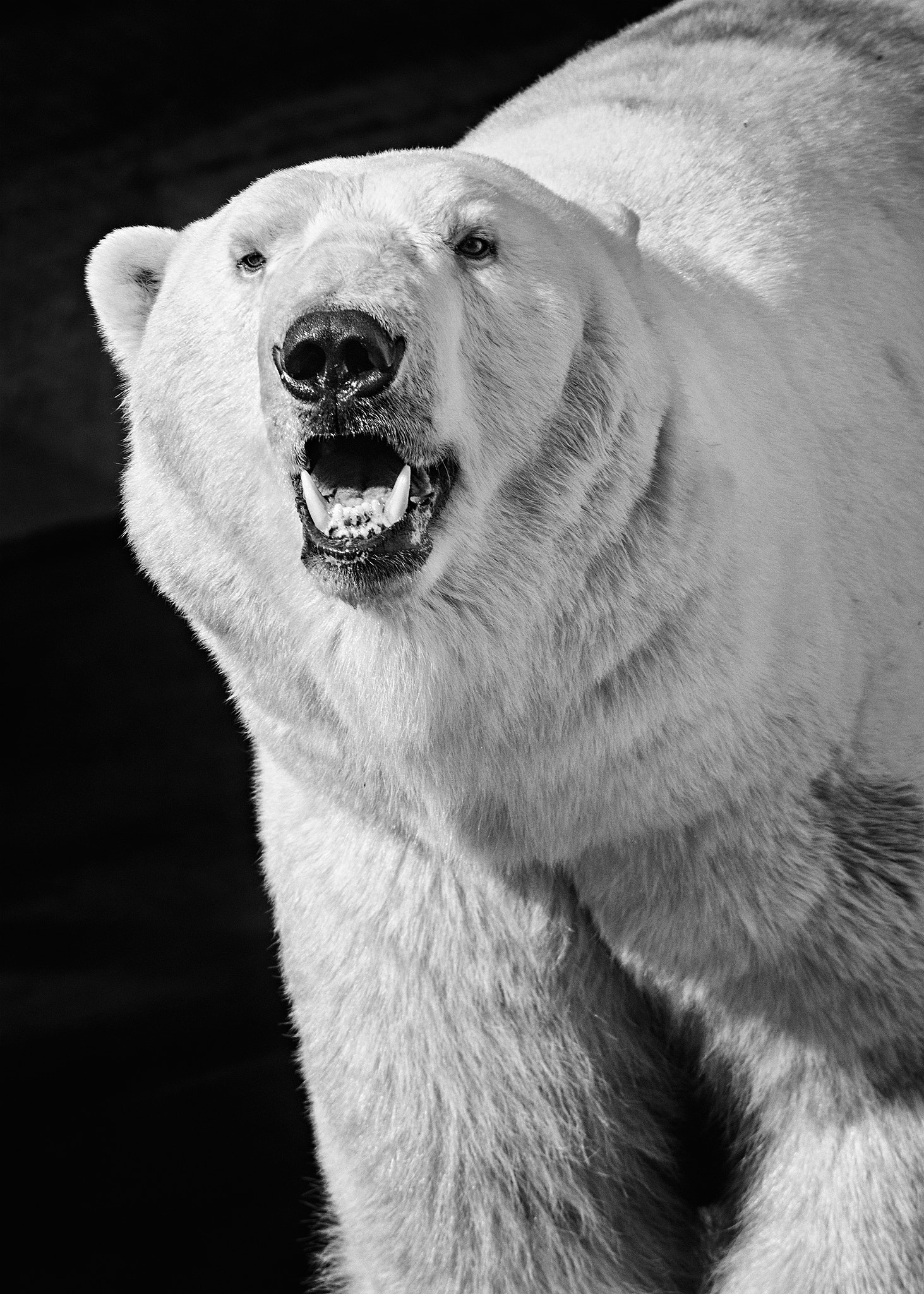 Nikon D90 + AF Nikkor 70-210mm f/4-5.6 sample photo. Power photography