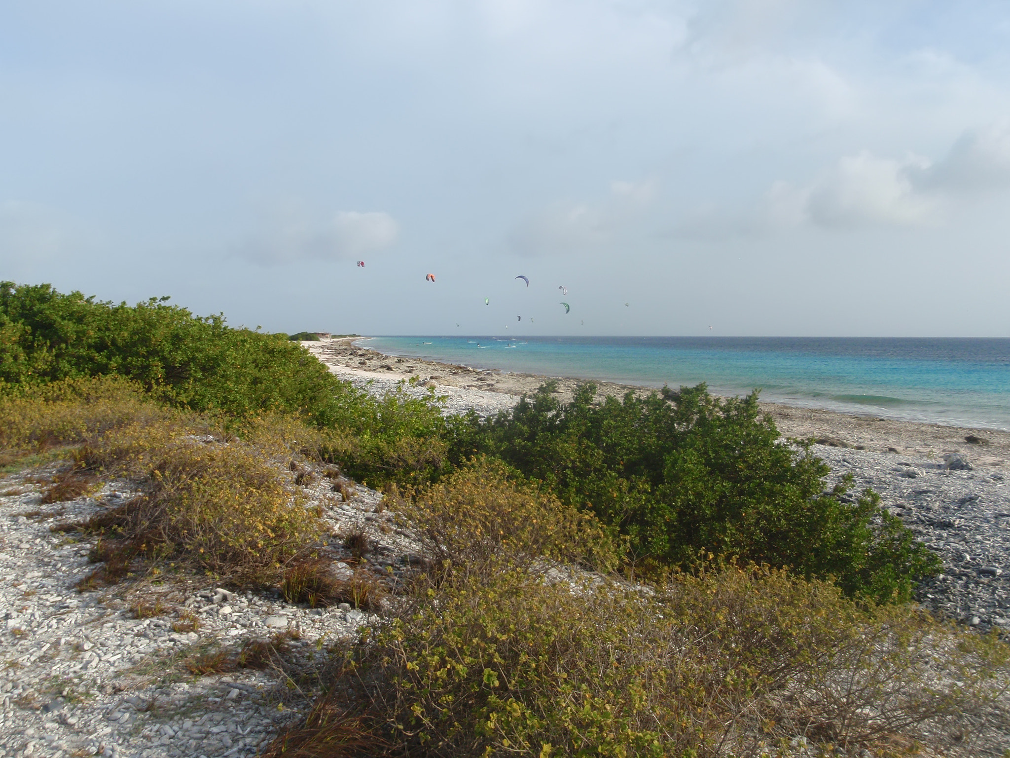 Olympus u1030SW,S1030SW sample photo. Kitesurfing in the lagoon of the sea photography