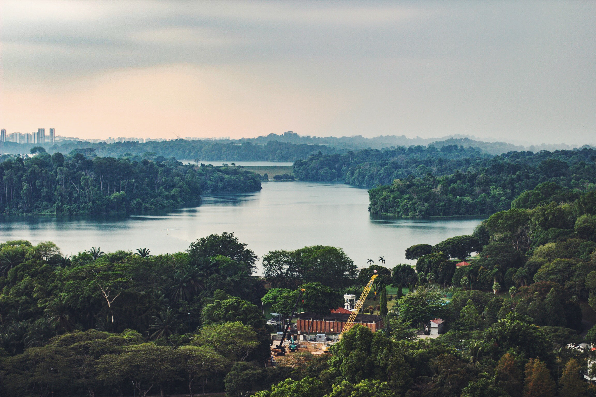 Sigma 50mm F1.4 EX DG HSM sample photo. Macritchie photography