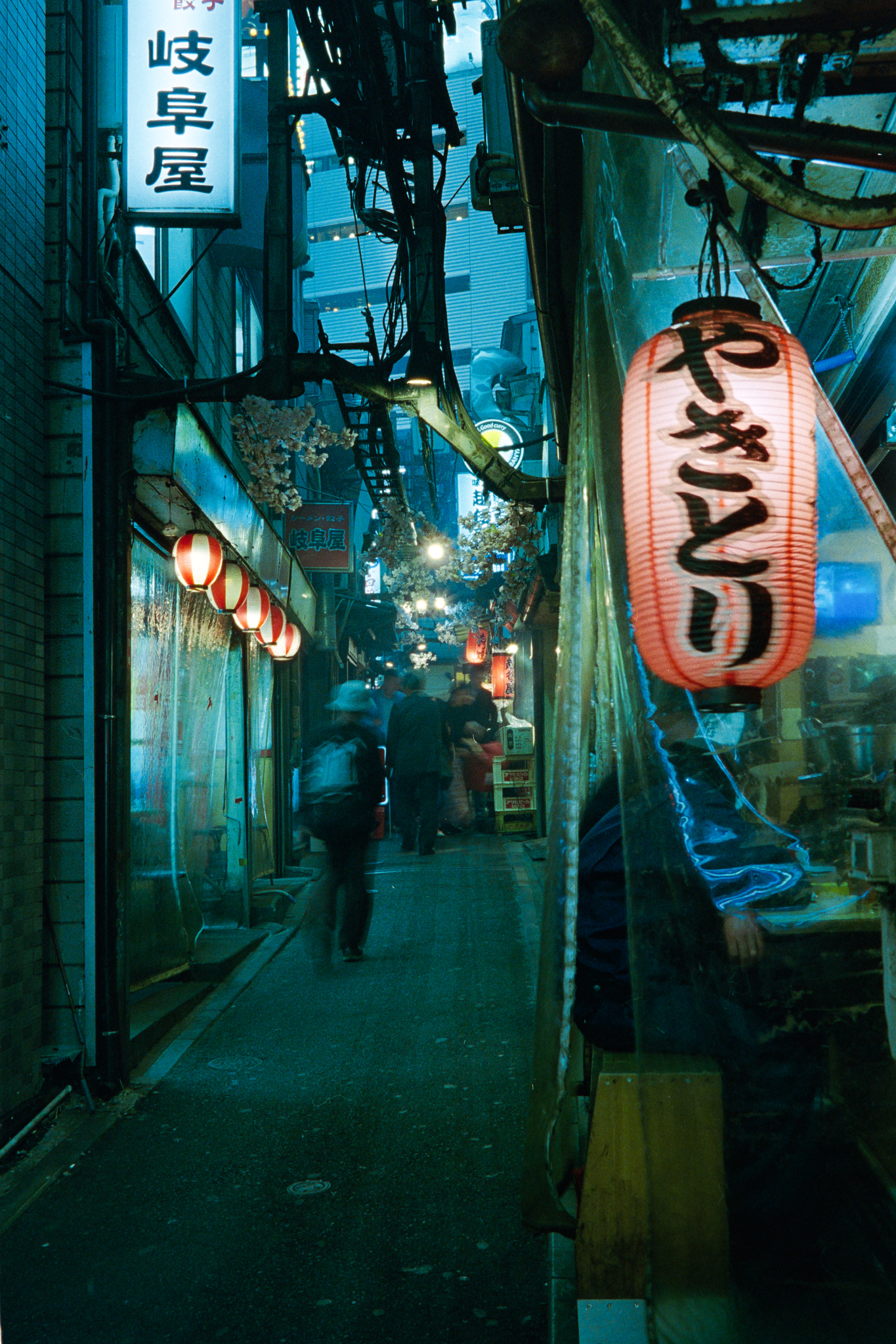 Minolta AF 100mm F2.8 Macro [New] sample photo. Yakitori photography