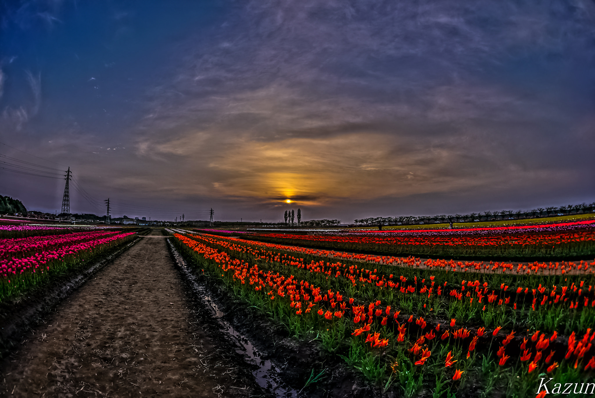 Sony a7S II + Sony 16mm F2.8 Fisheye sample photo. Sun set! photography