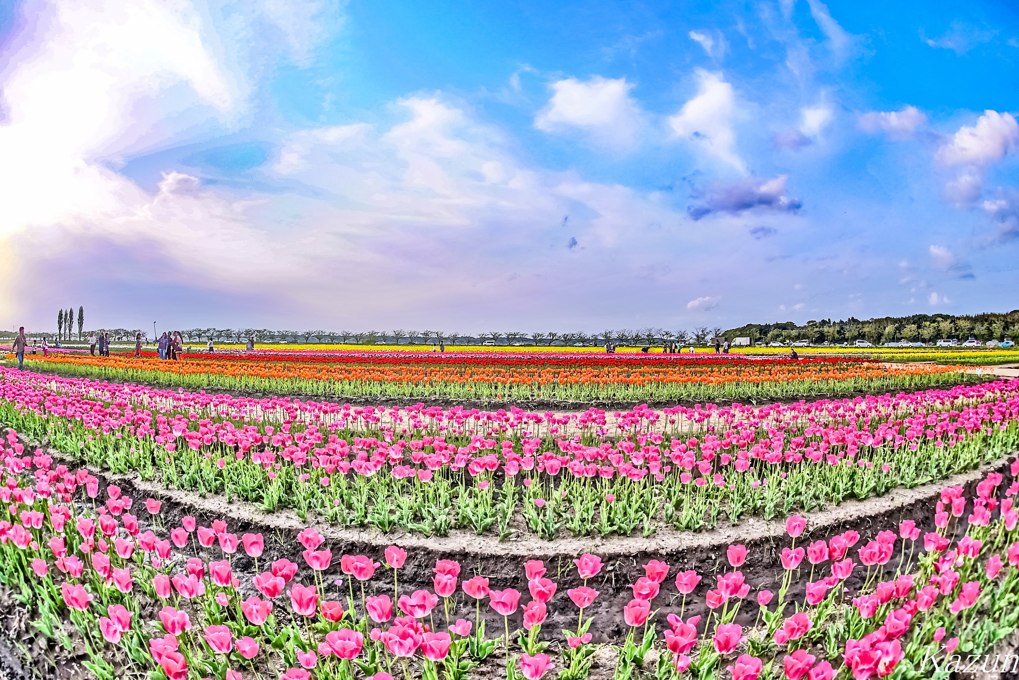 Sony a7S II + Sony 16mm F2.8 Fisheye sample photo. Spring color! photography