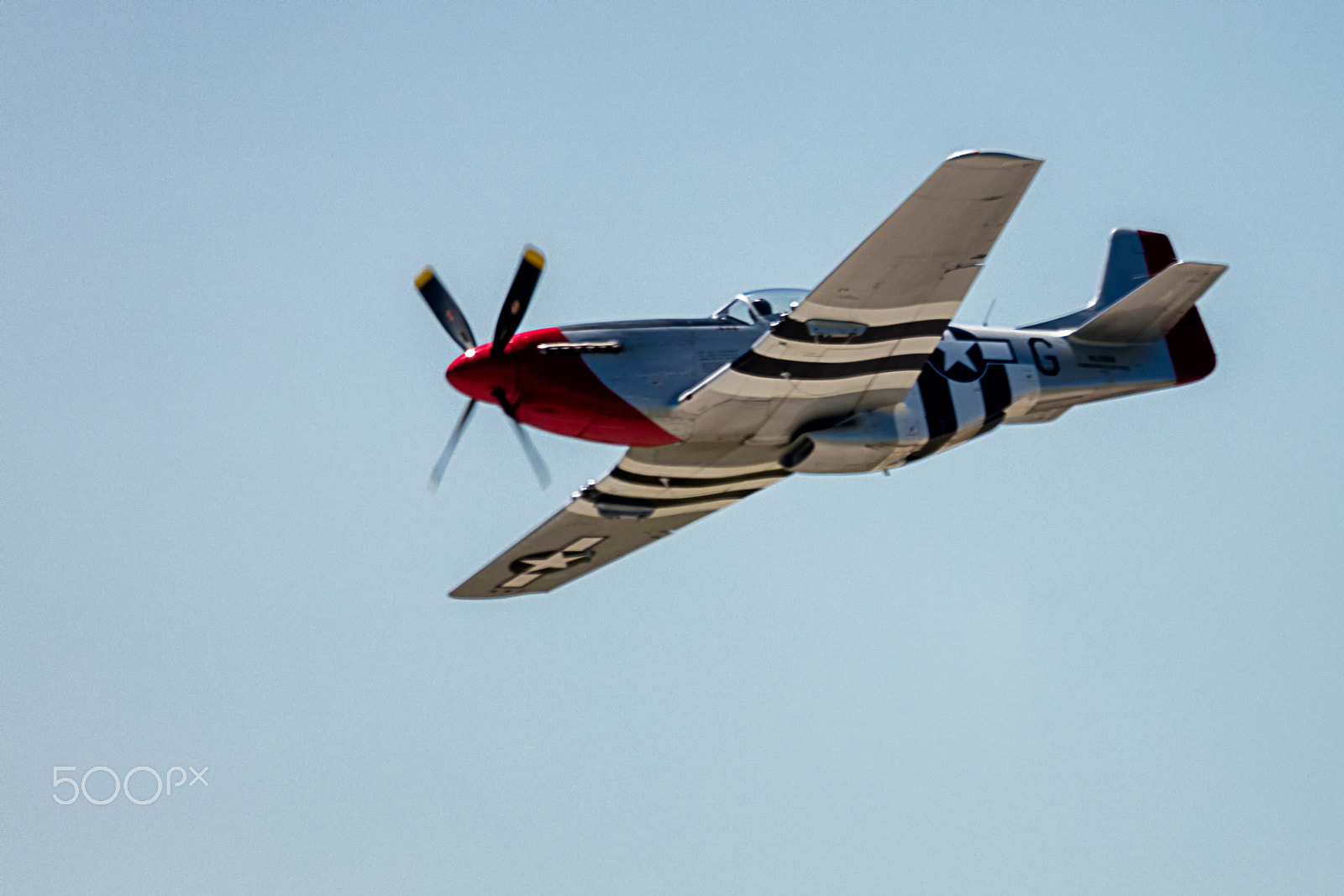 Canon EOS 5DS + Sigma 150-600mm F5-6.3 DG OS HSM | C sample photo. North american mustang p-51 "red nose" photography