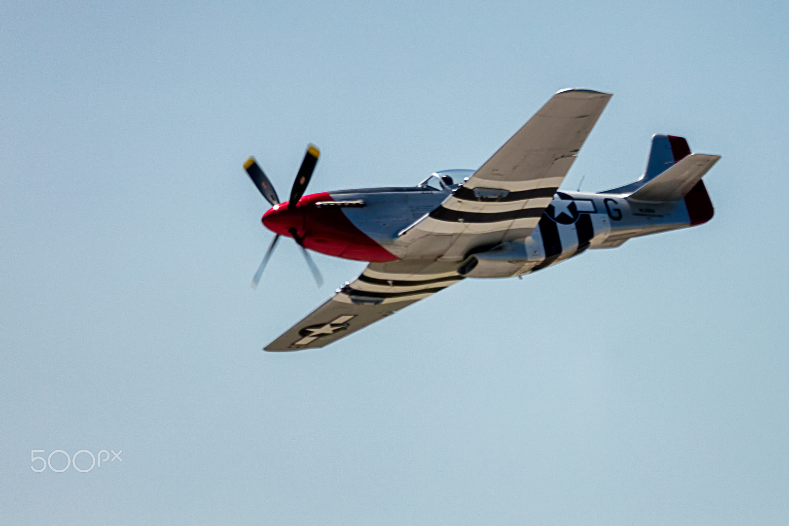 Sigma 150-600mm F5-6.3 DG OS HSM | C sample photo. North american mustang p-51 "red nose" photography
