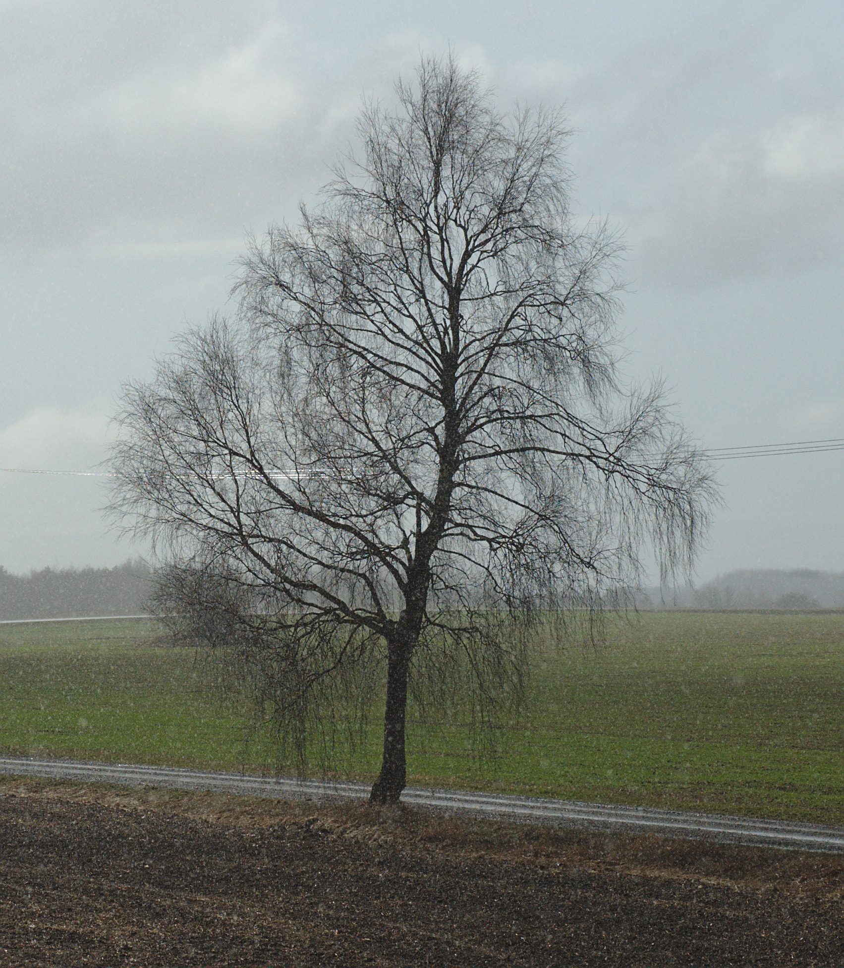 Nikon D3 sample photo. Rain photography