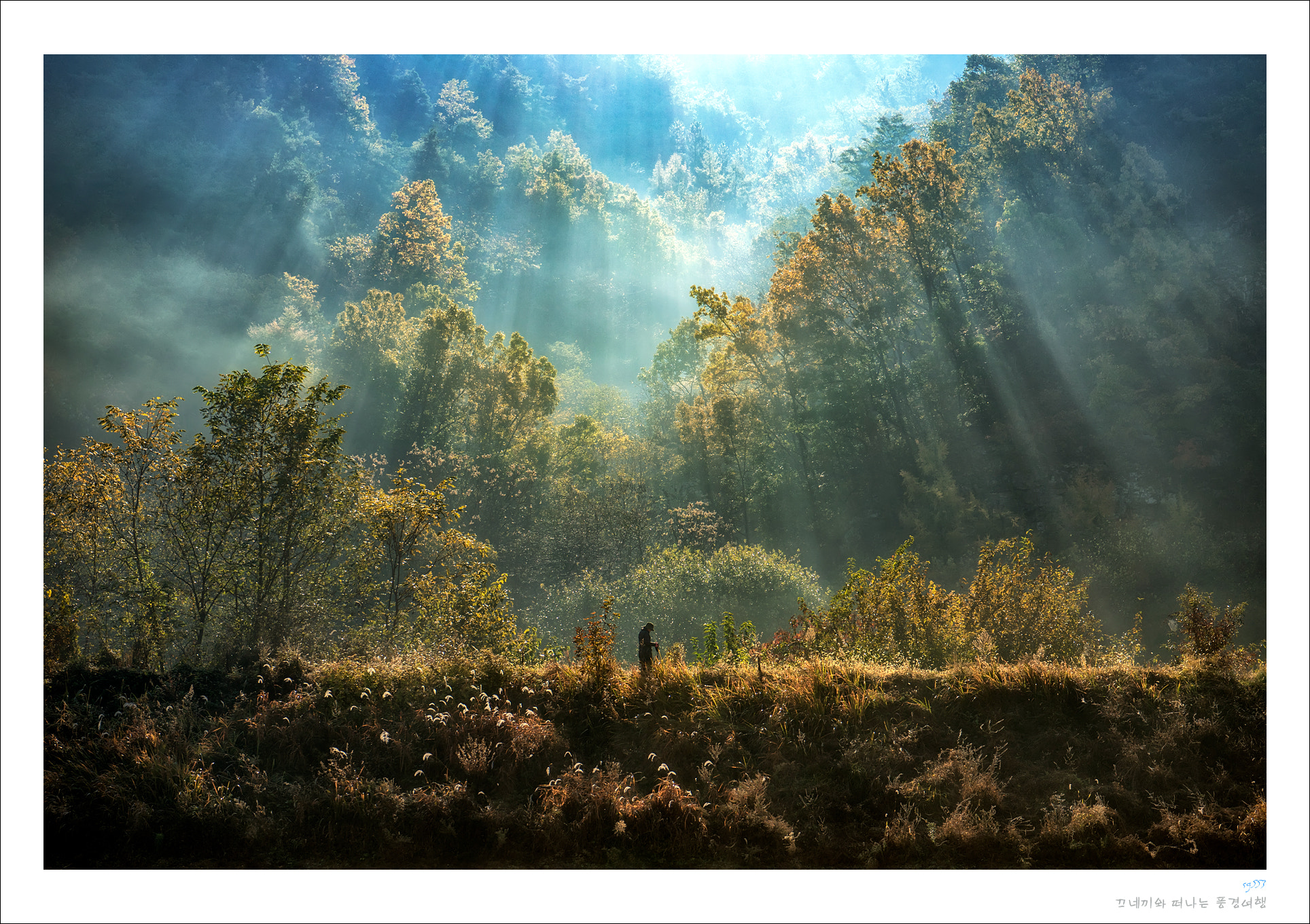 Sony MODEL-NAME sample photo. Sunbeam photography