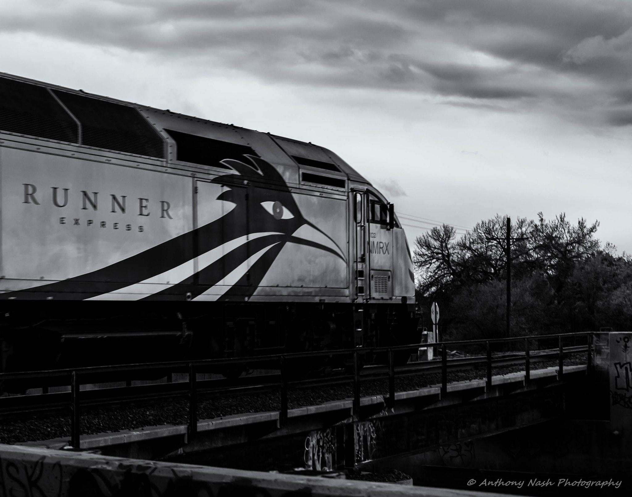 Nikon D3 sample photo. Rail runner express photography