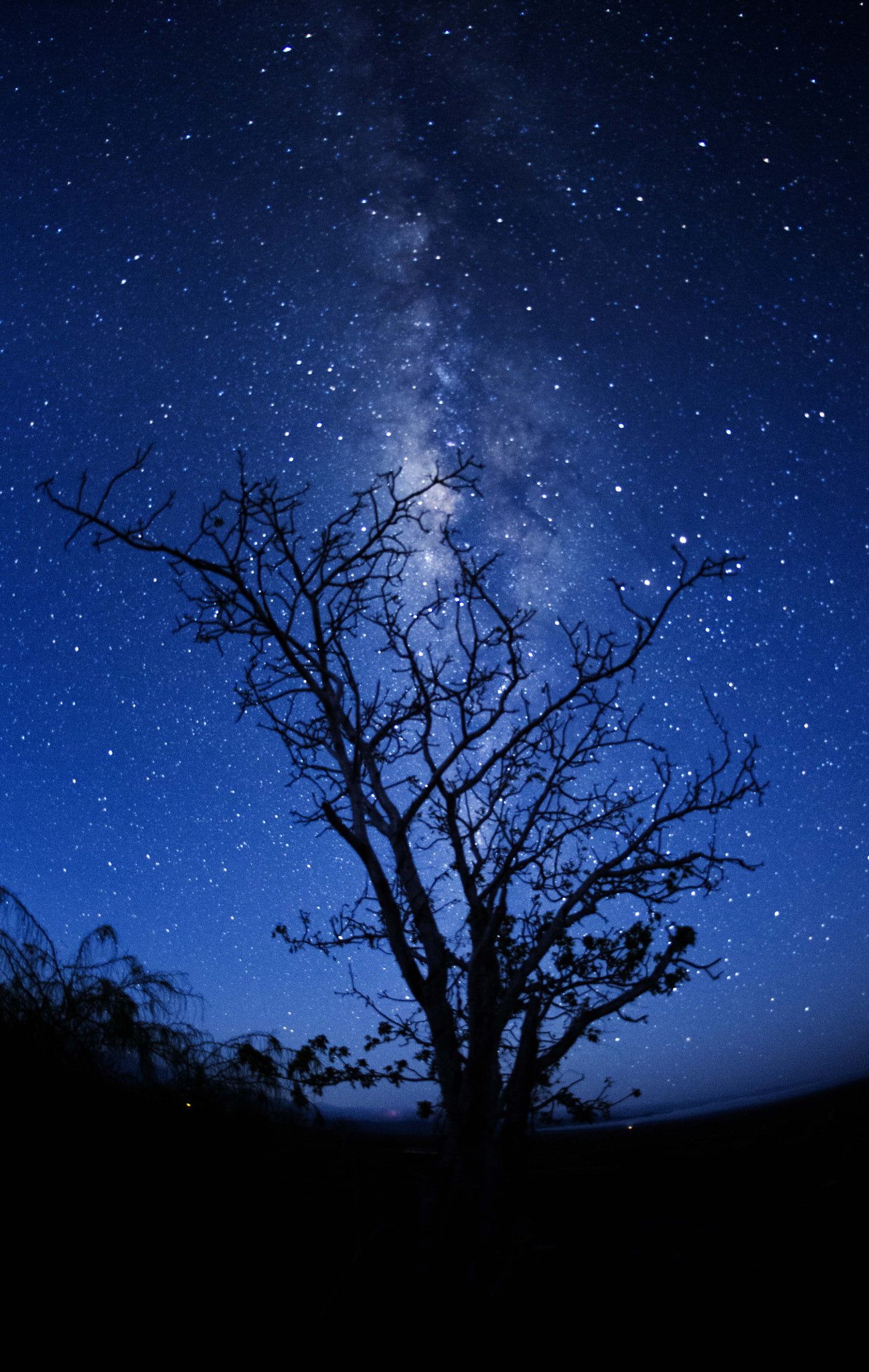 Nikon D800 + Nikon AF Fisheye-Nikkor 16mm F2.8D sample photo. Galapag paloblanco photography