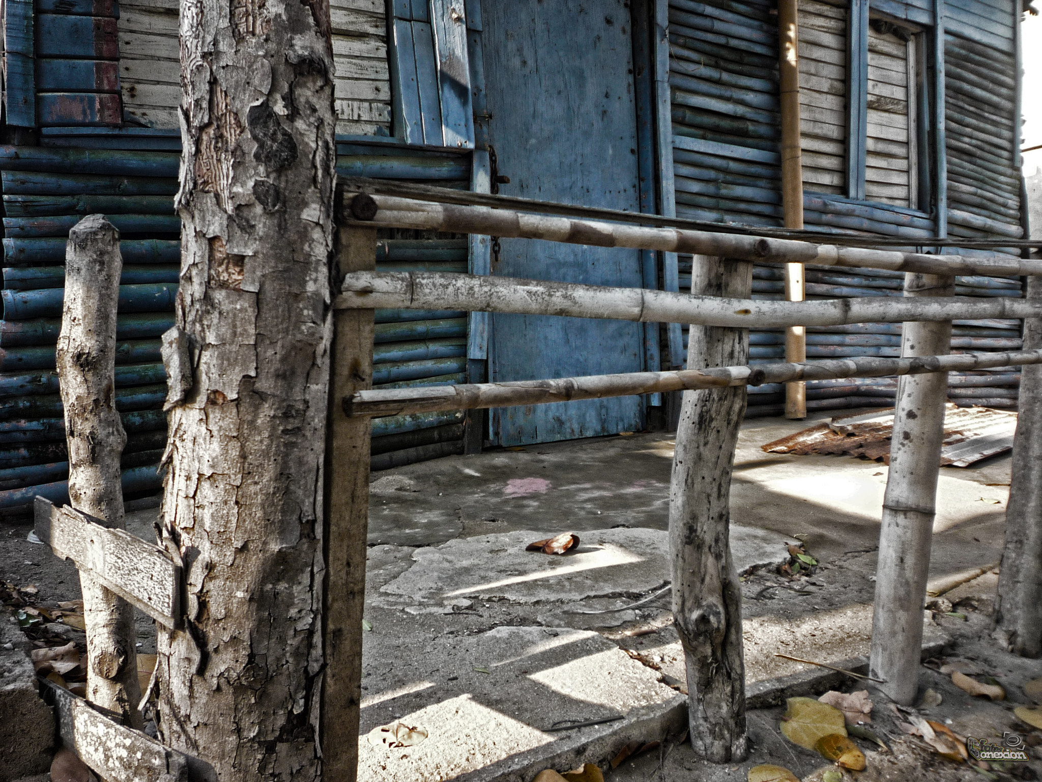 Panasonic DMC-LZ8 sample photo. Casa azul de chuao photography