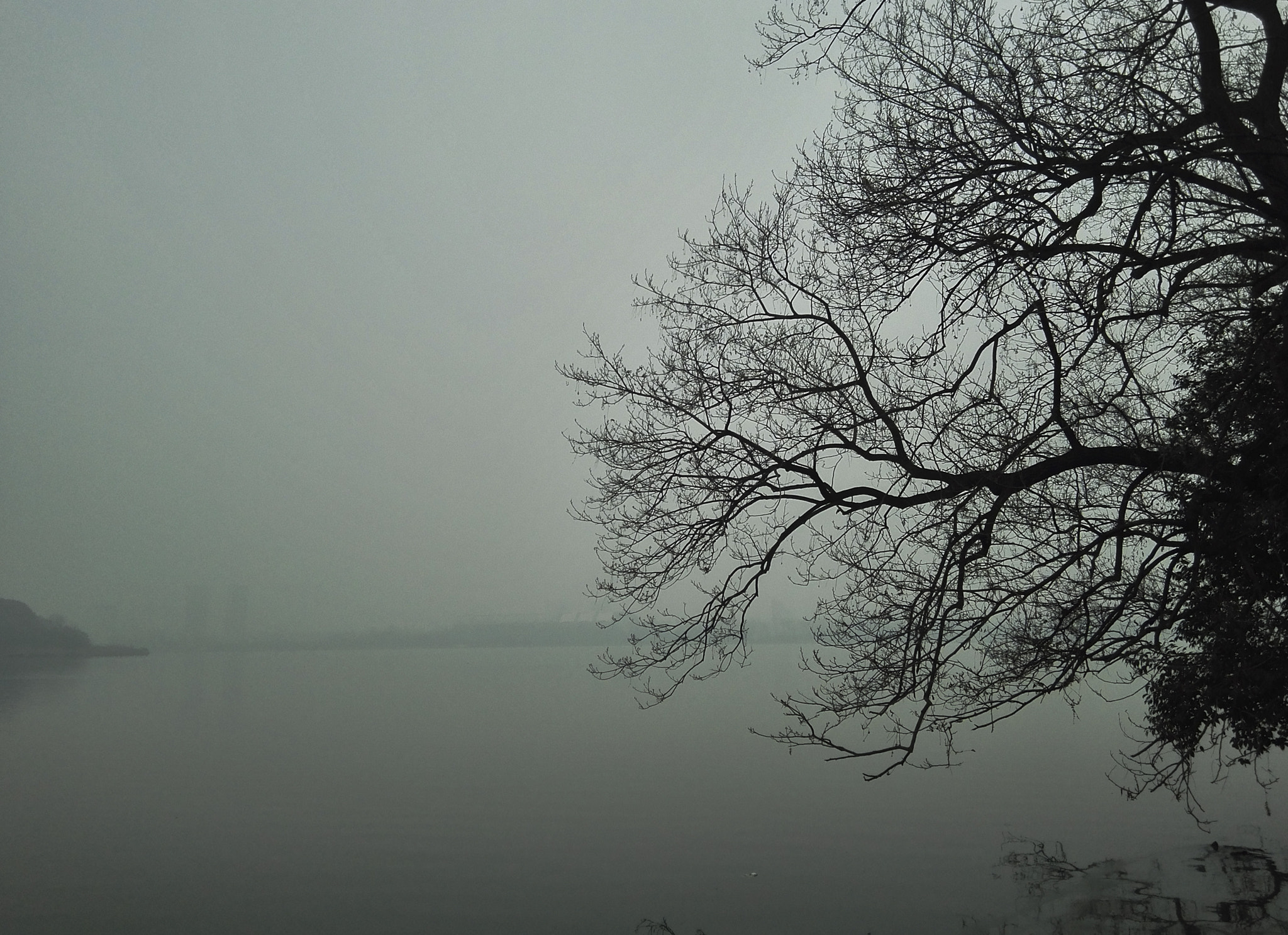 HUAWEI PE-TL20 sample photo. Fog hide the river photography