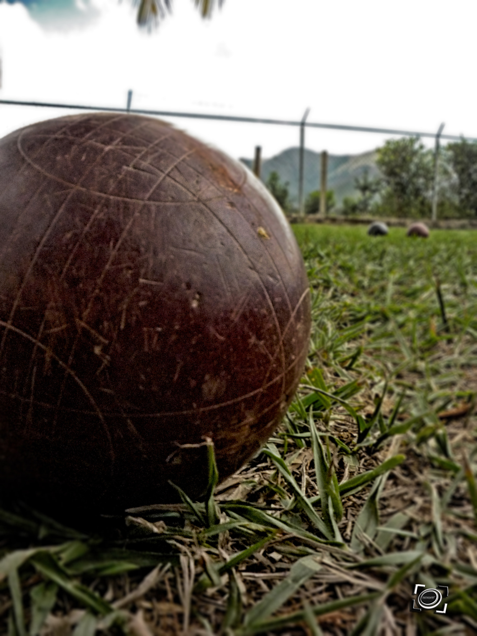 Panasonic DMC-LZ8 sample photo. Bolas photography