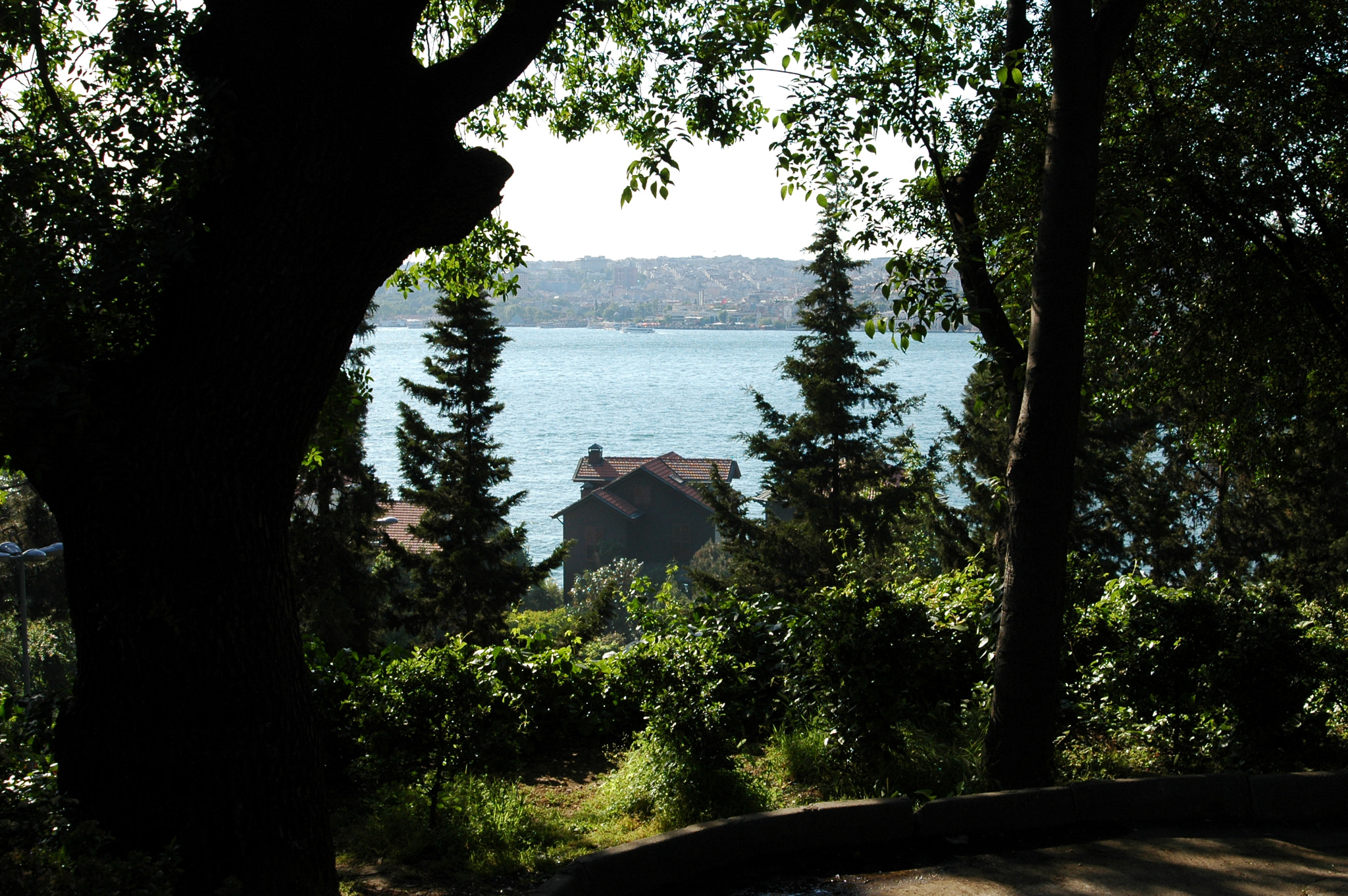 Nikon D70s + AF Zoom-Nikkor 28-100mm f/3.5-5.6G sample photo. Through the trees... photography