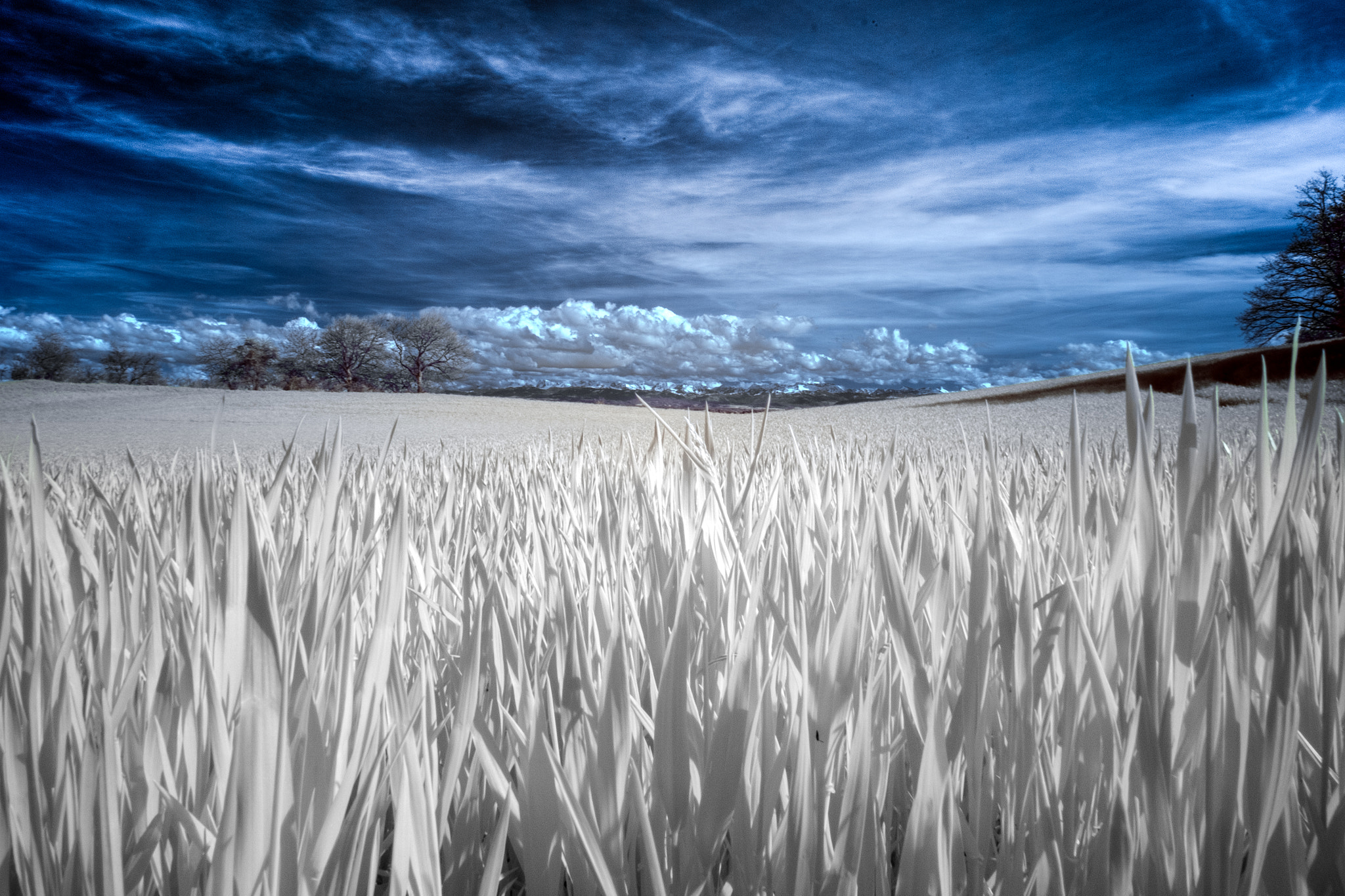 Fujifilm X-E1 + Fujifilm XF 18-135mm F3.5-5.6 R LM OIS WR sample photo. ...ho(ir)zon... photography